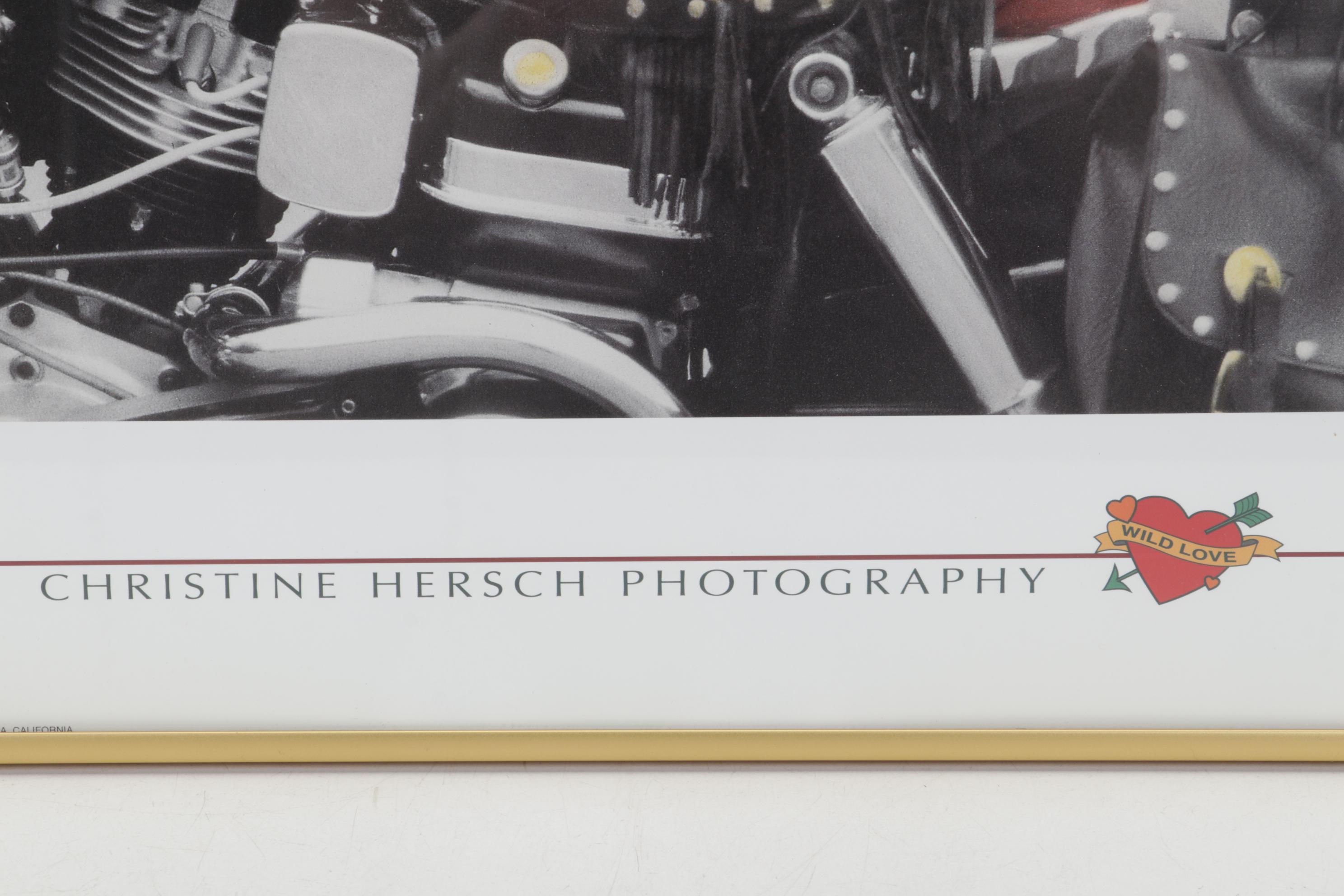 Offset Lithographs After Christine Hersch and Gail Goodwin, Circa 1998