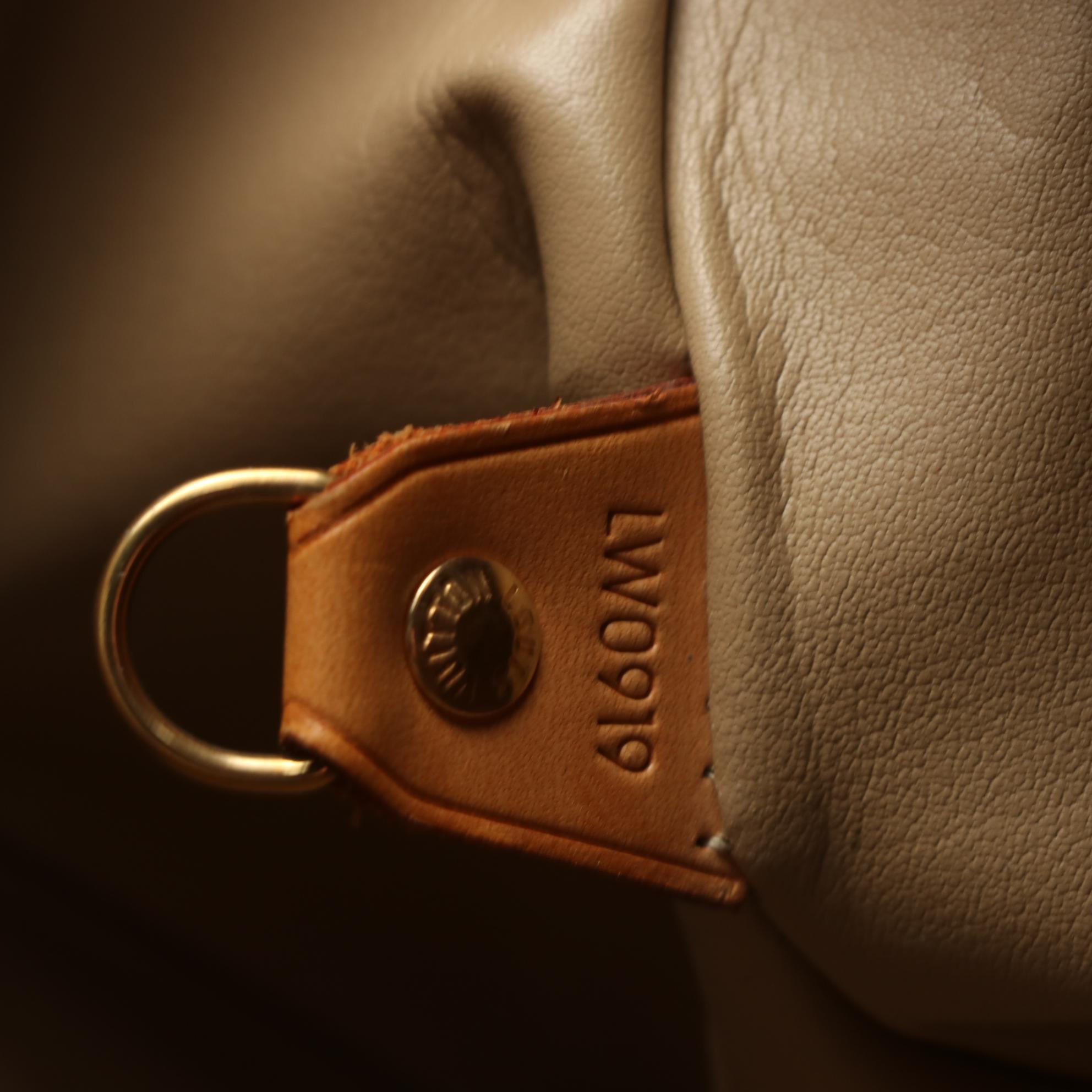 Louis Vuitton Houston Tote in Monogram Vernis and Vachetta Leather