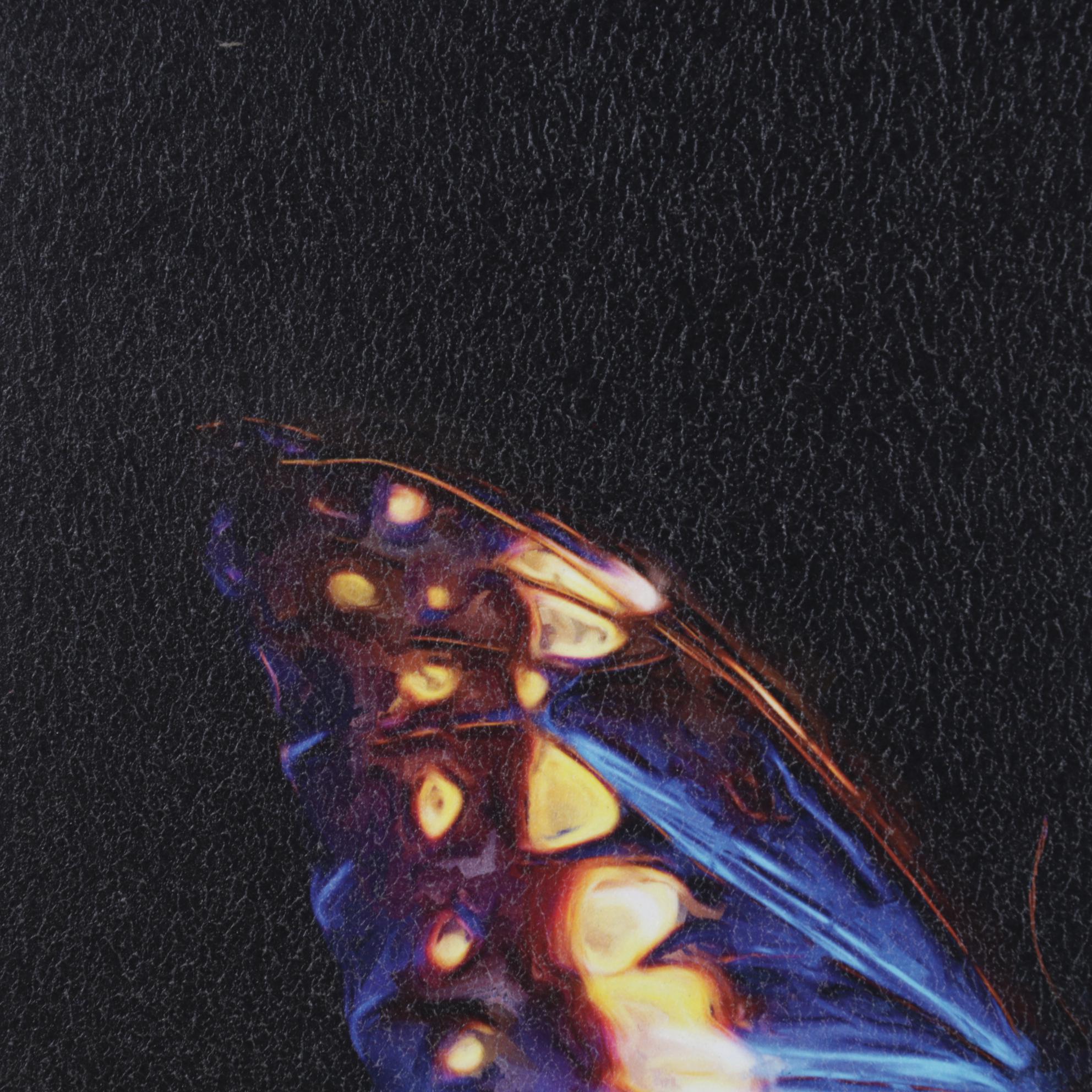 Giclée After Lola Henry "Techno Butterfly II," 21st century