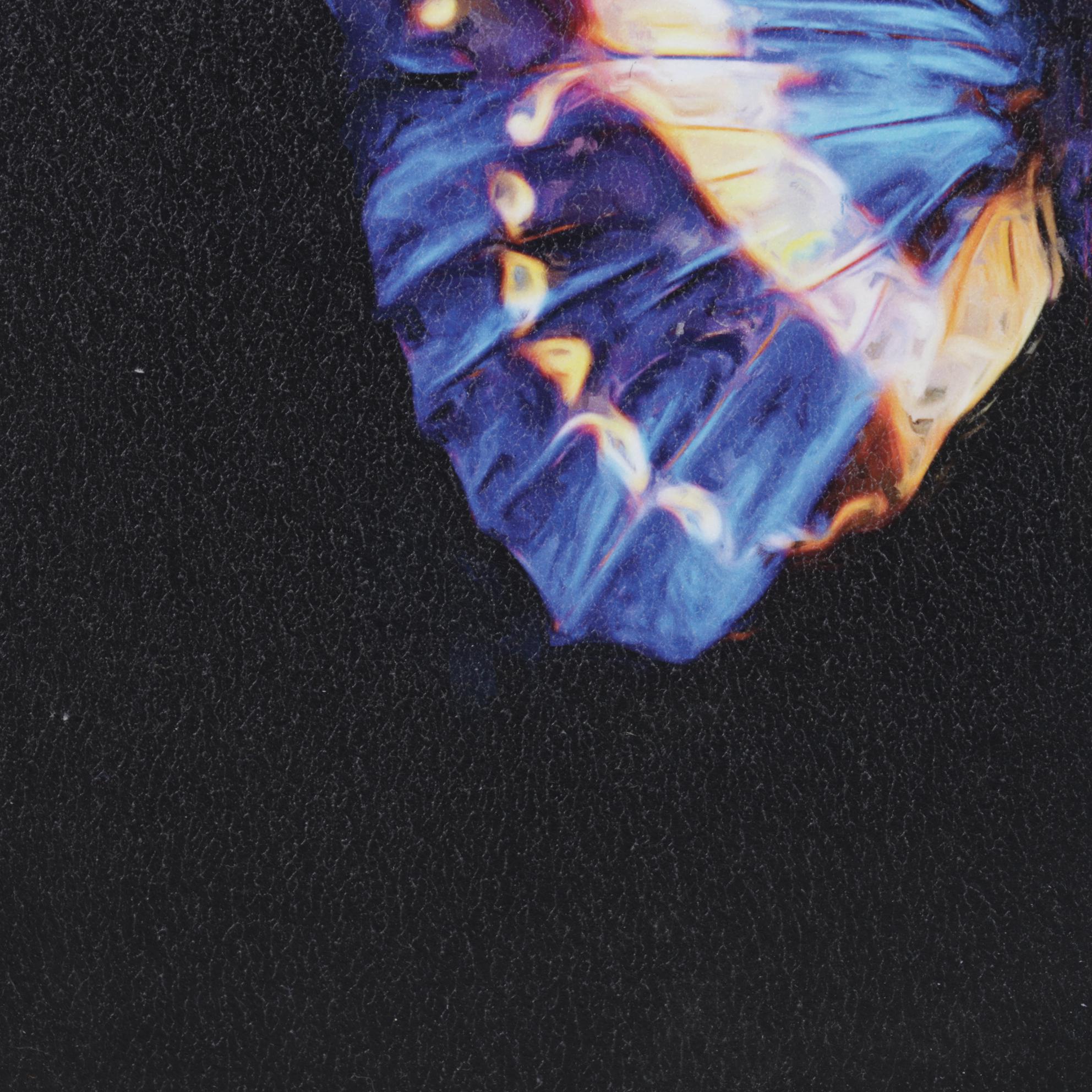 Giclée After Lola Henry "Techno Butterfly II," 21st century