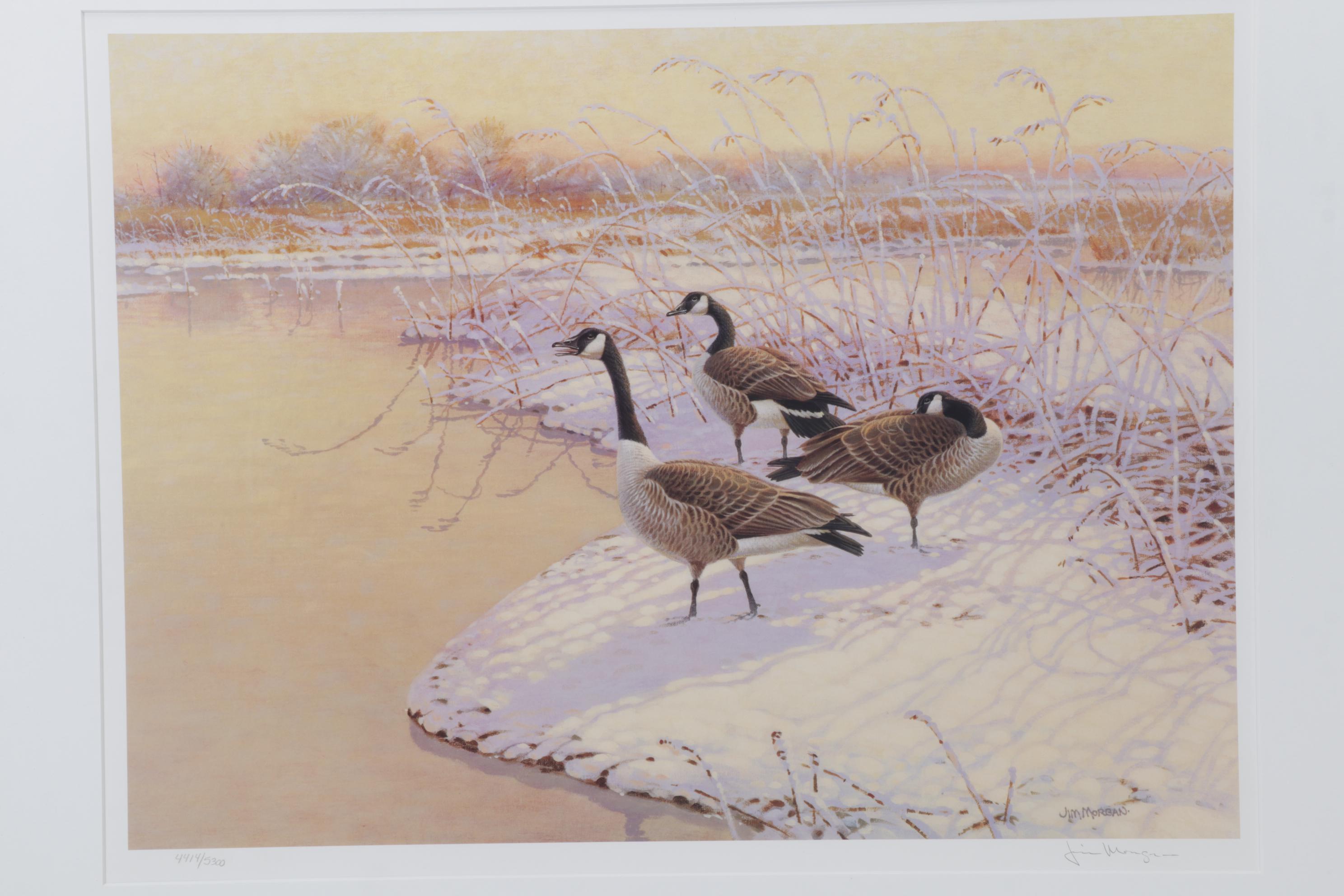 Jim Morgan Offset Lithograph of Canadian Geese, 21st Century