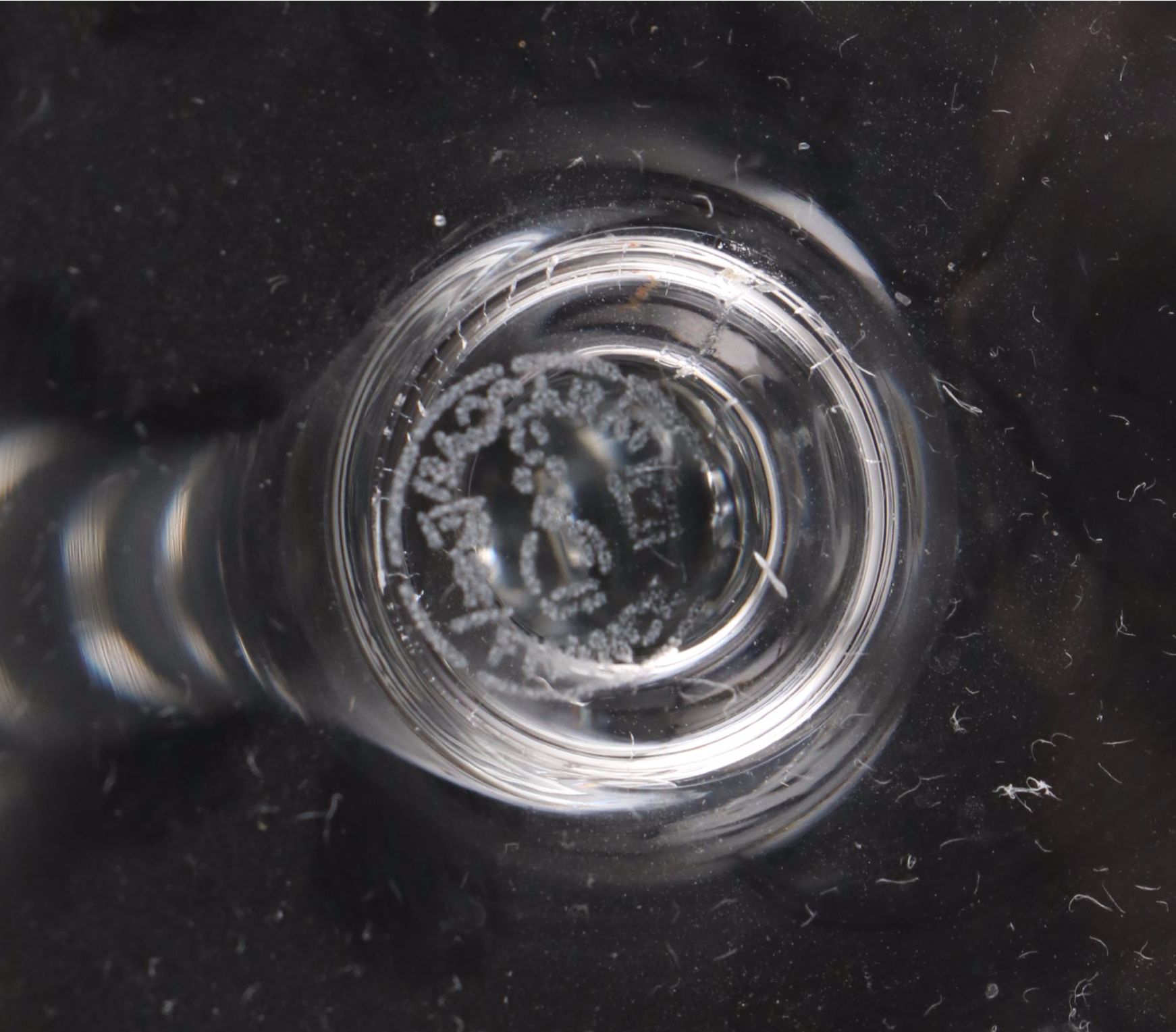 Baccarat "Dom Perignon" Crystal Claret Wine Glasses