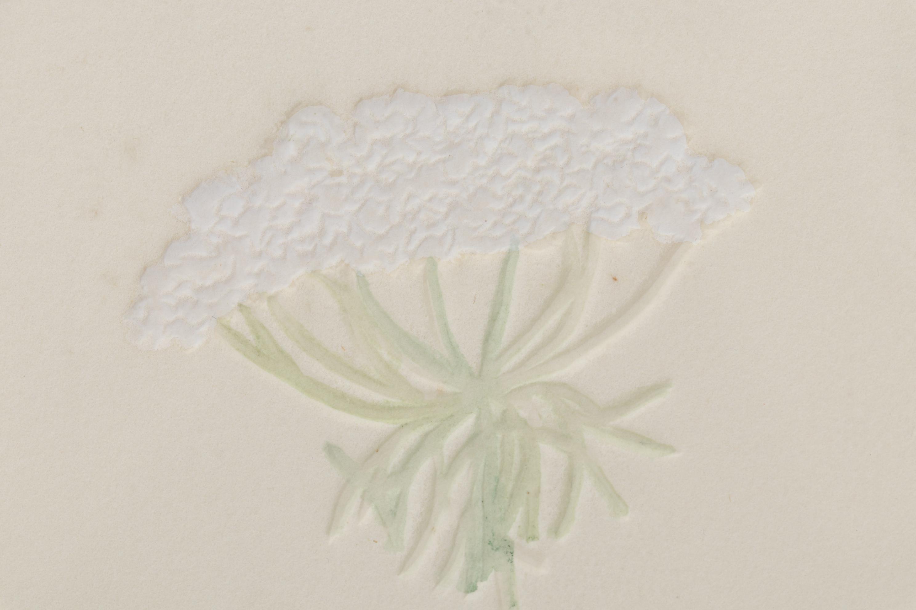 Susan Zythewick Hand-Colored Embossed Etching of Flowers, Circa 1975