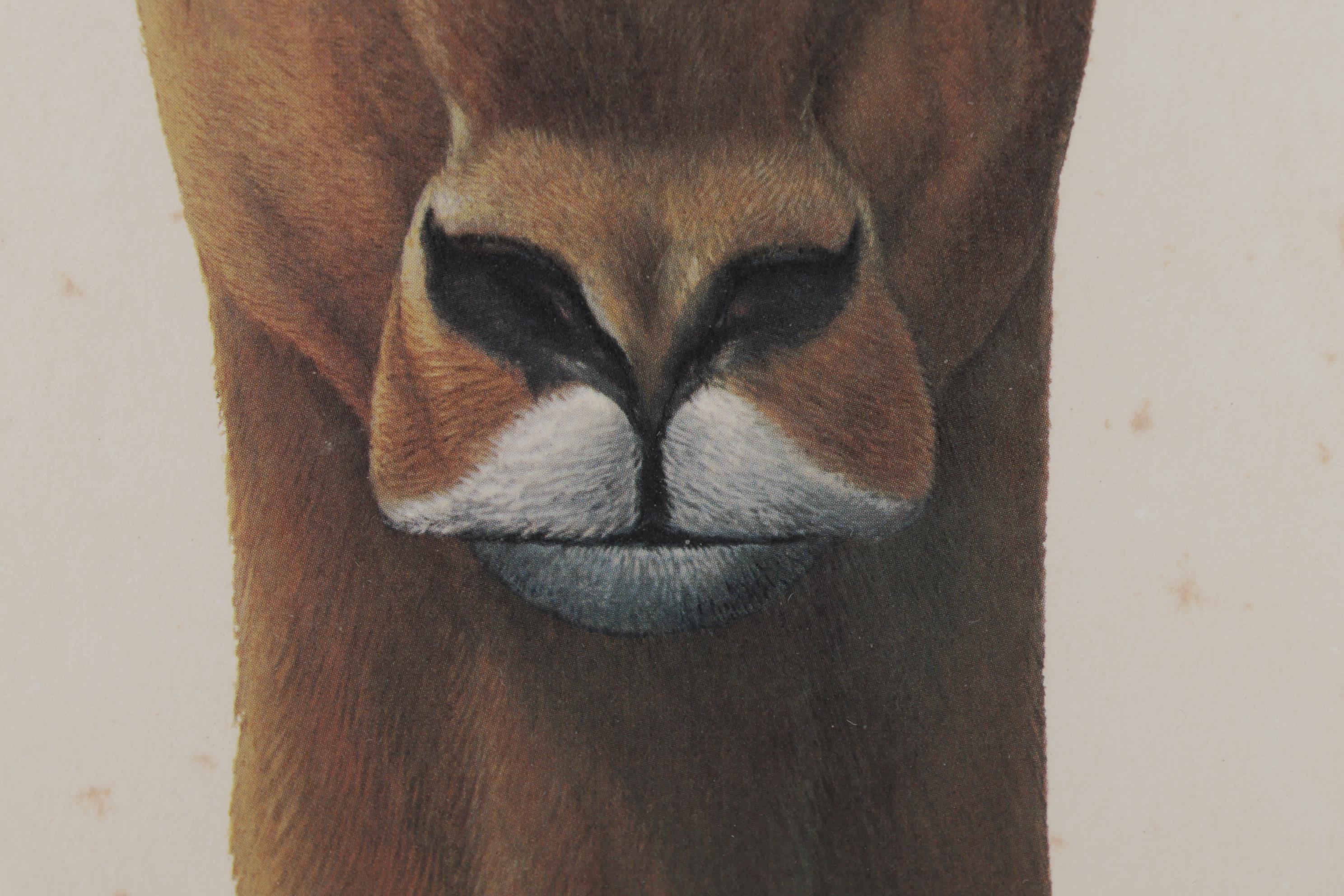 Ray Harm Offset Lithograph "Impala," Circa 1970