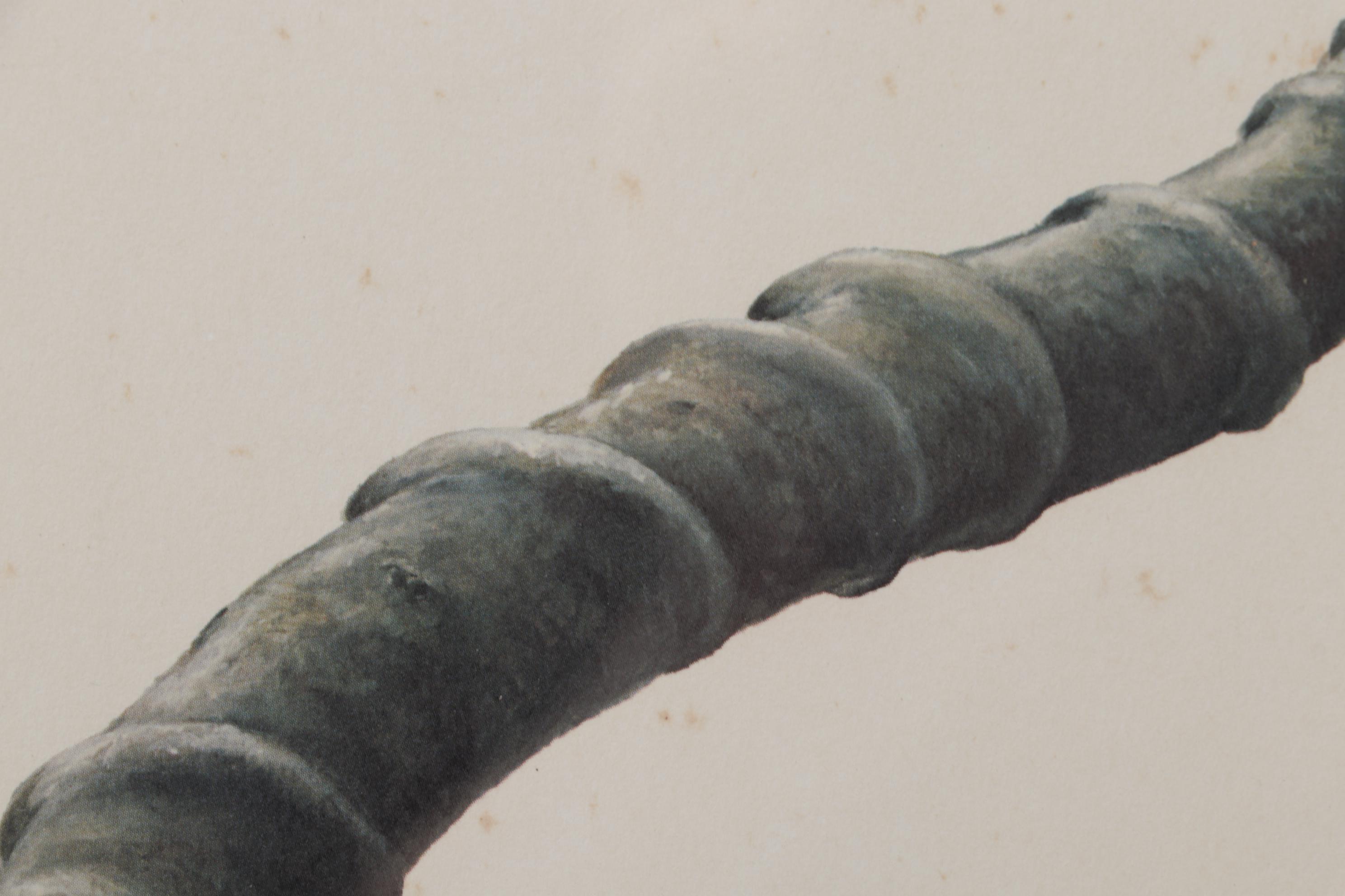 Ray Harm Offset Lithograph "Impala," Circa 1970