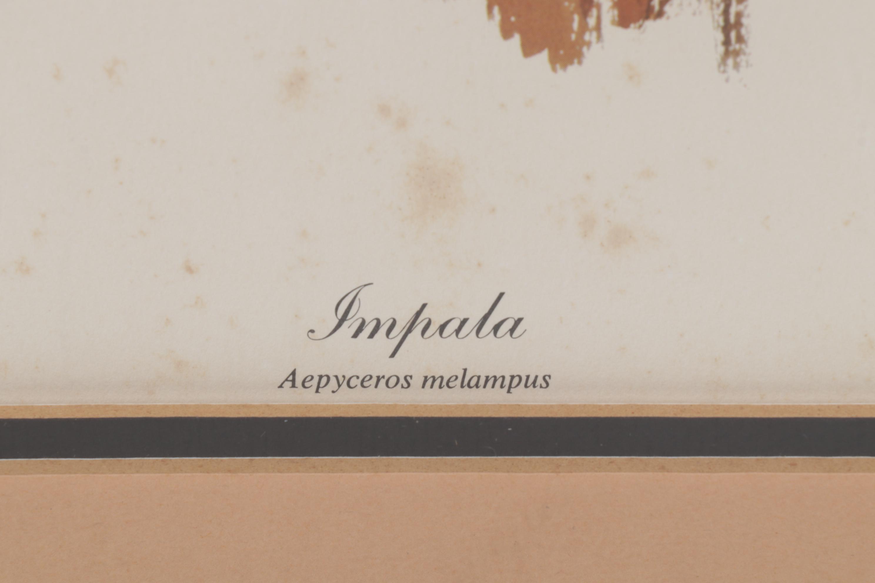 Ray Harm Offset Lithograph "Impala," Circa 1970