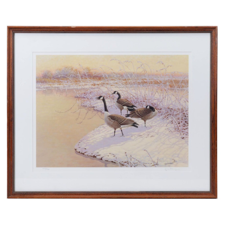 Jim Morgan Offset Lithograph of Canadian Geese, 21st Century