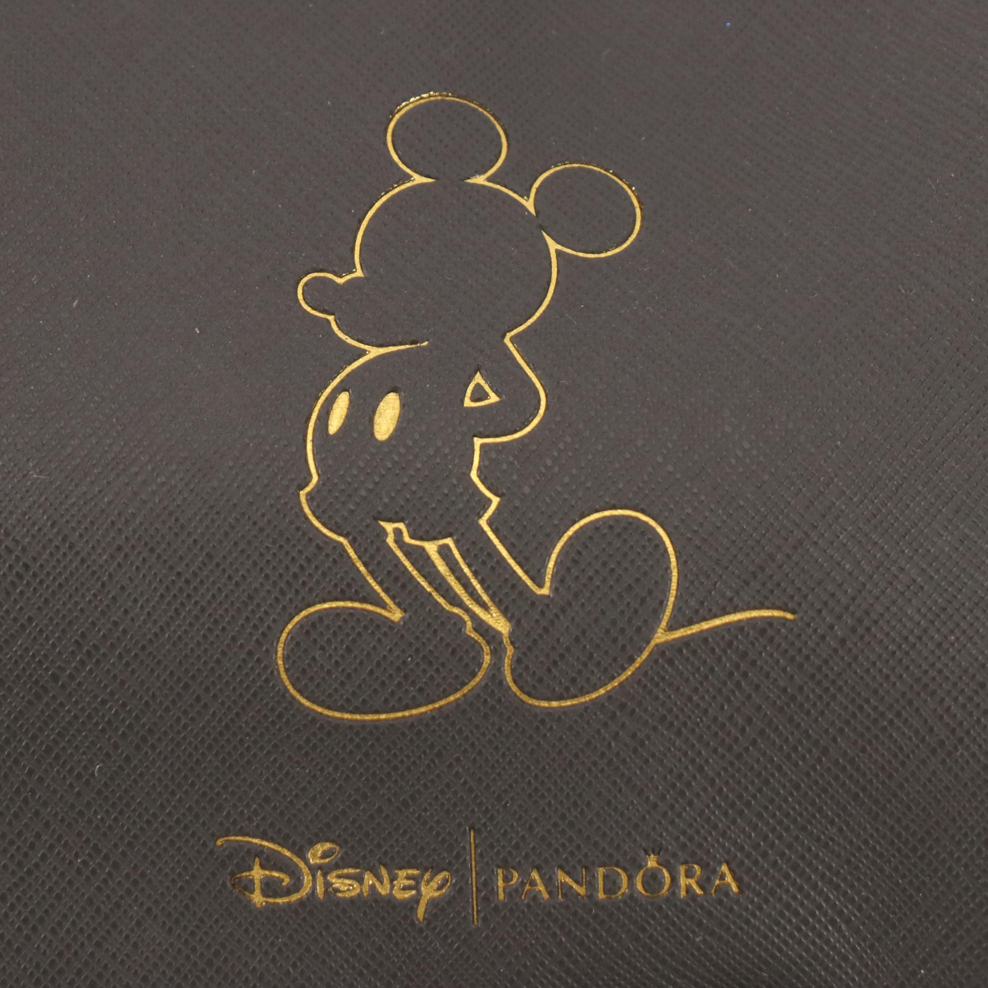 Disney Pandora Crossbody Bag and Epcot Large Tote Bag