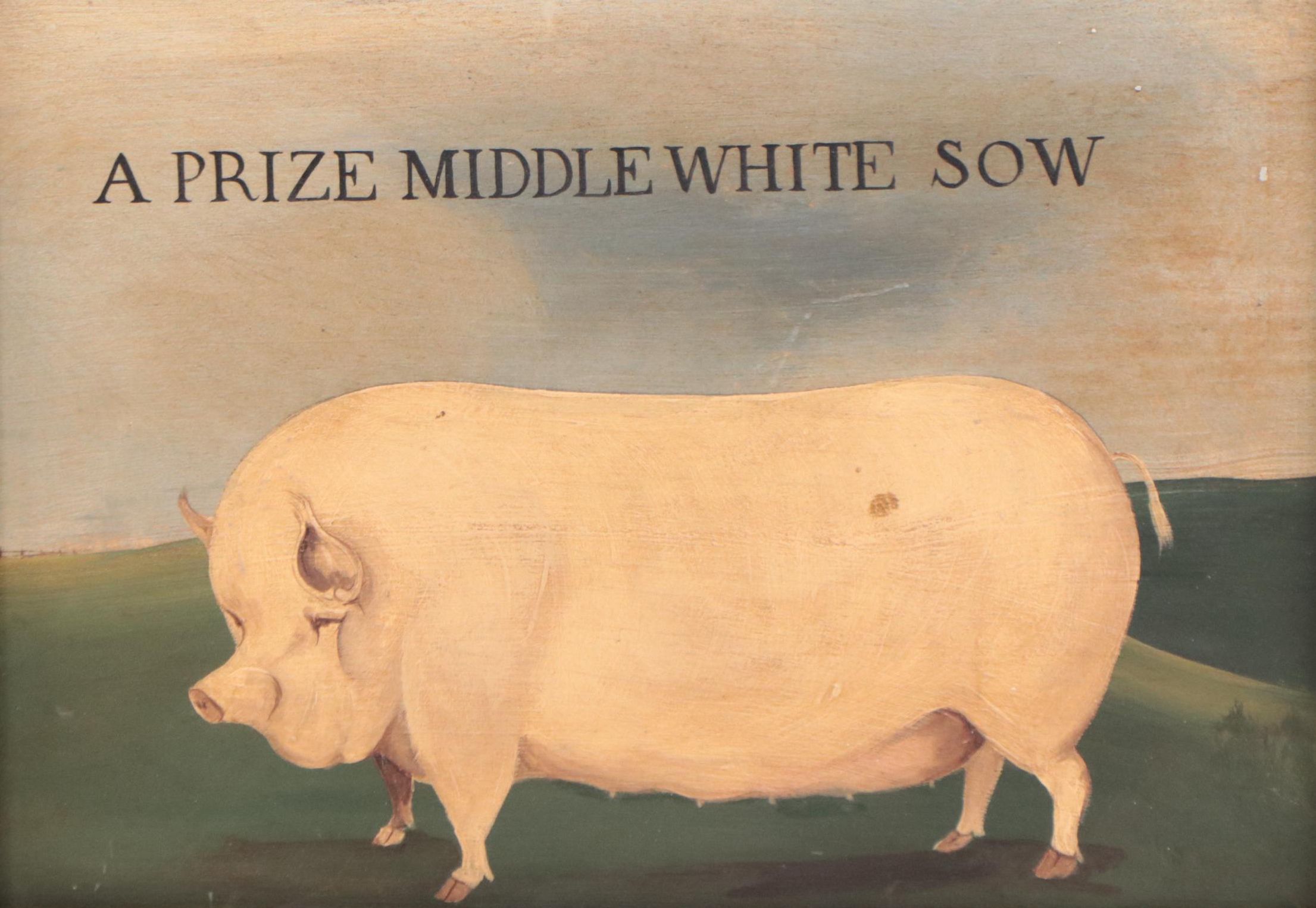 Oil Painting of Pig Portrait "A Prize Middle White Sow"