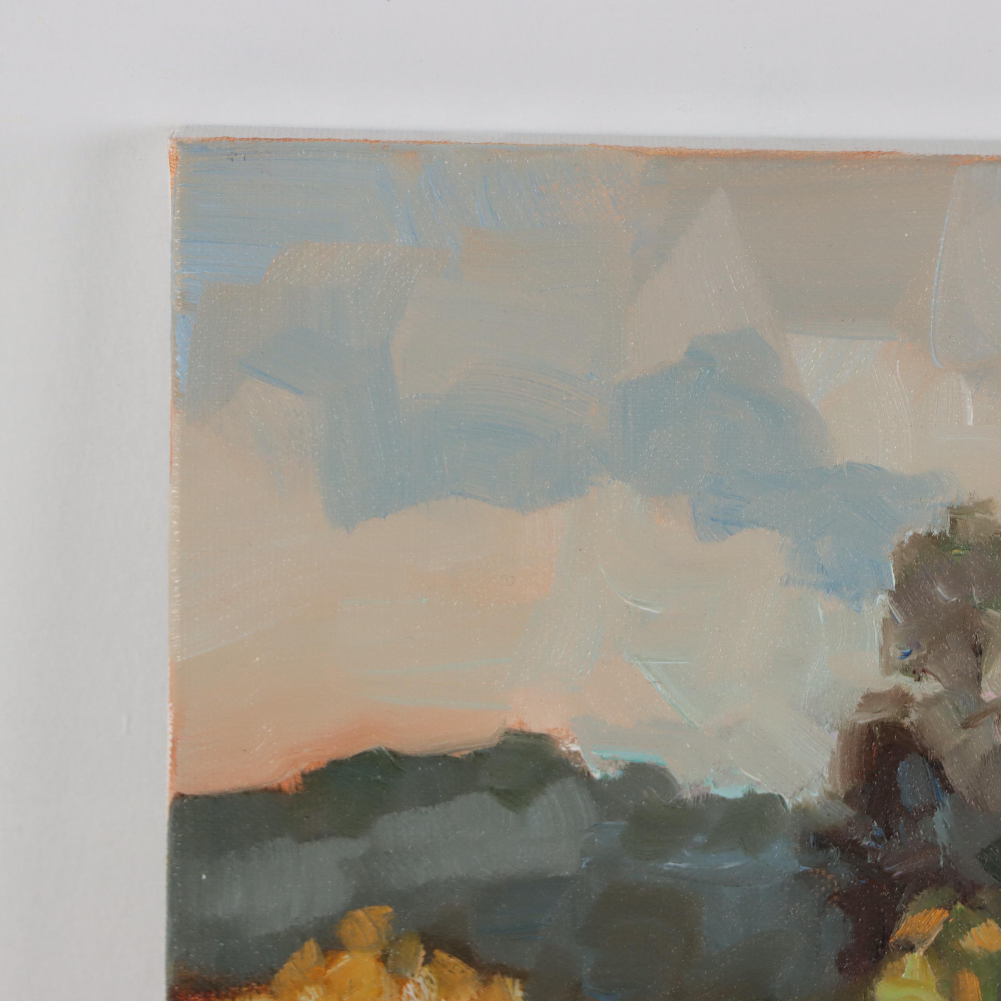 Sally Rosenbaum Landscape Oil Painting, 21st Century