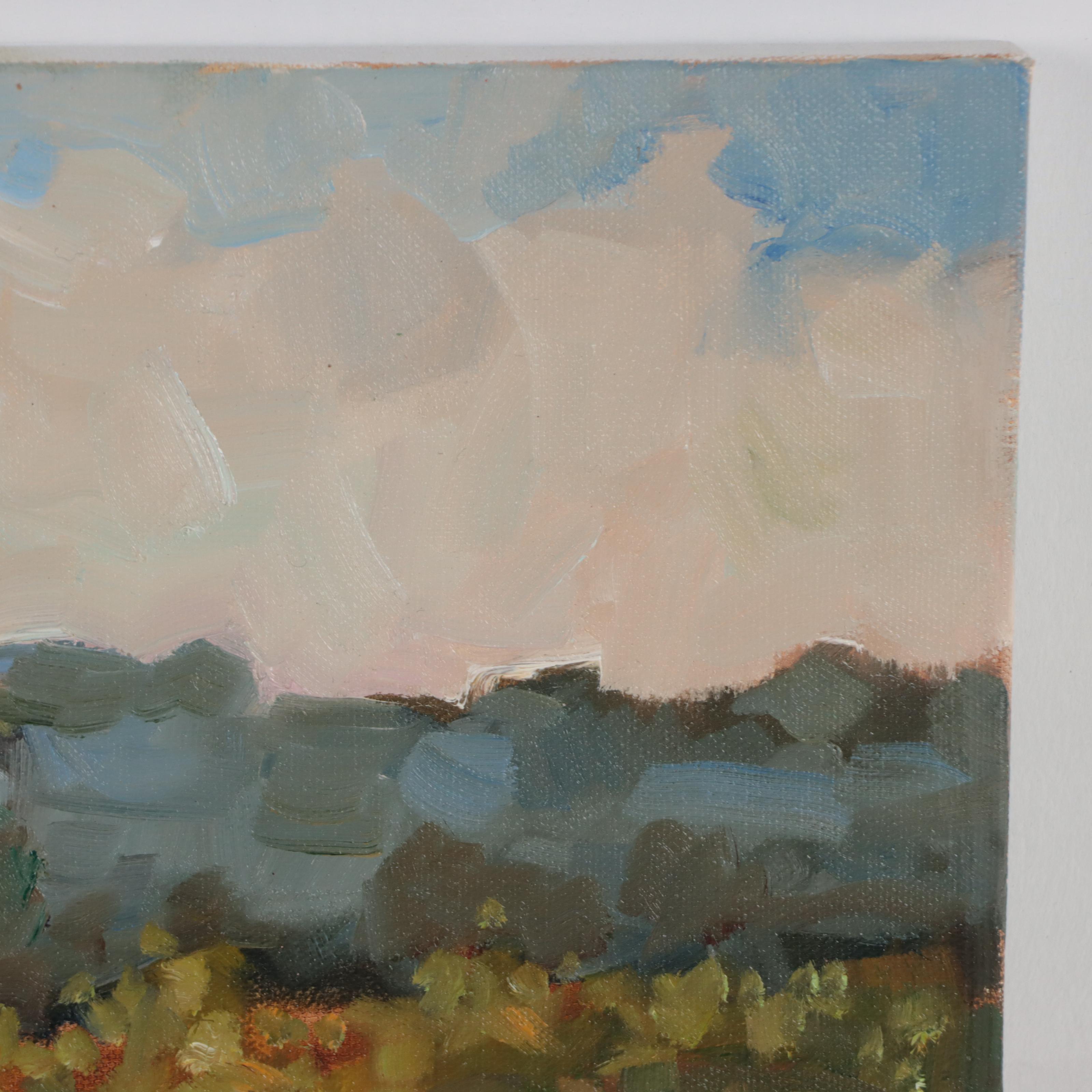 Sally Rosenbaum Landscape Oil Painting, 21st Century