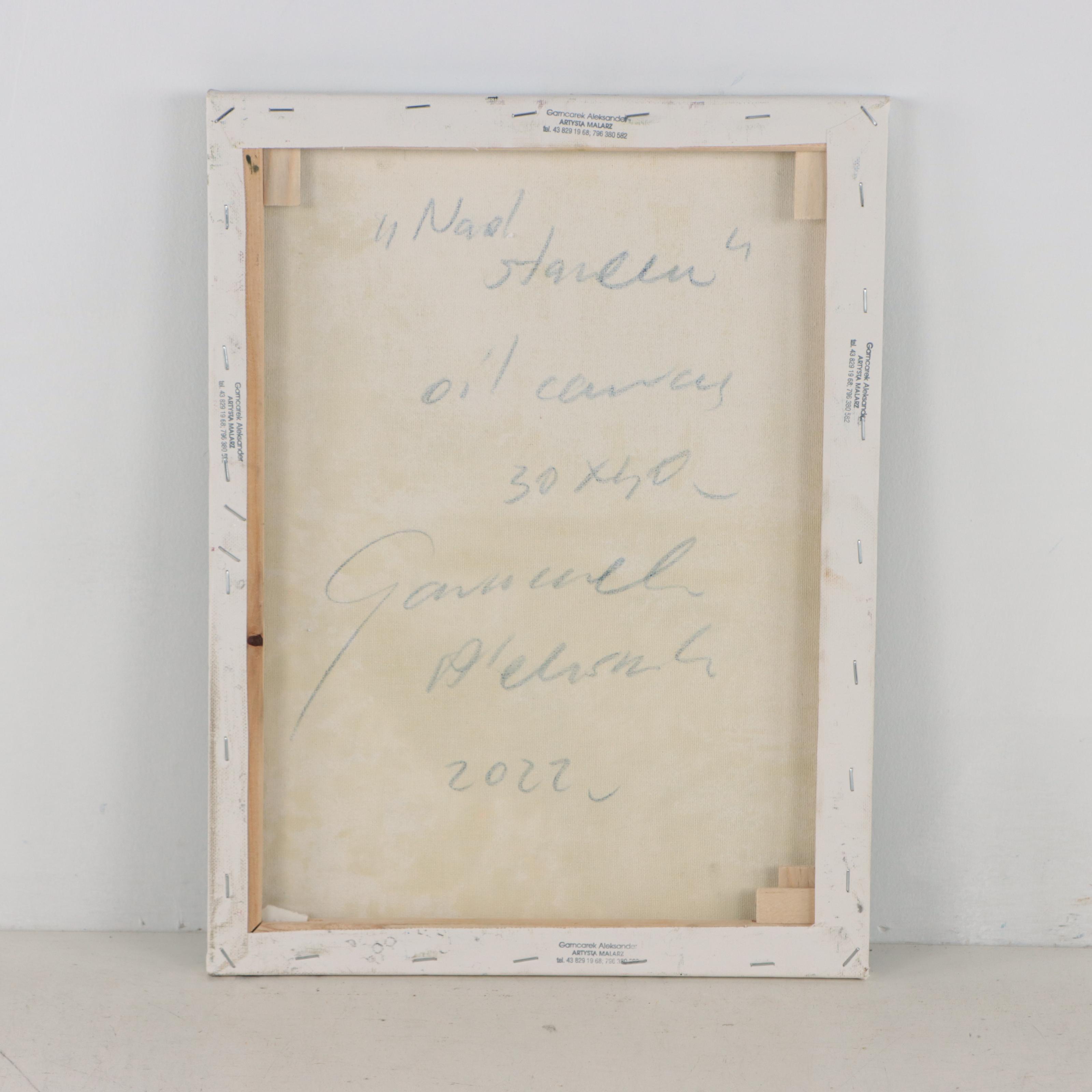 Garncarek Aleksander Oil Painting "Nad Stawem," 2022