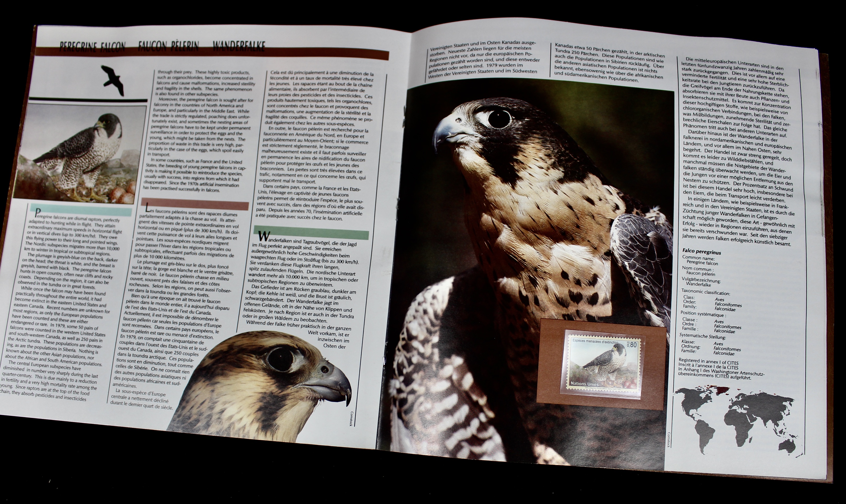 Scott's International Postage Stamp Album 1840-1949, Abyssinia through France