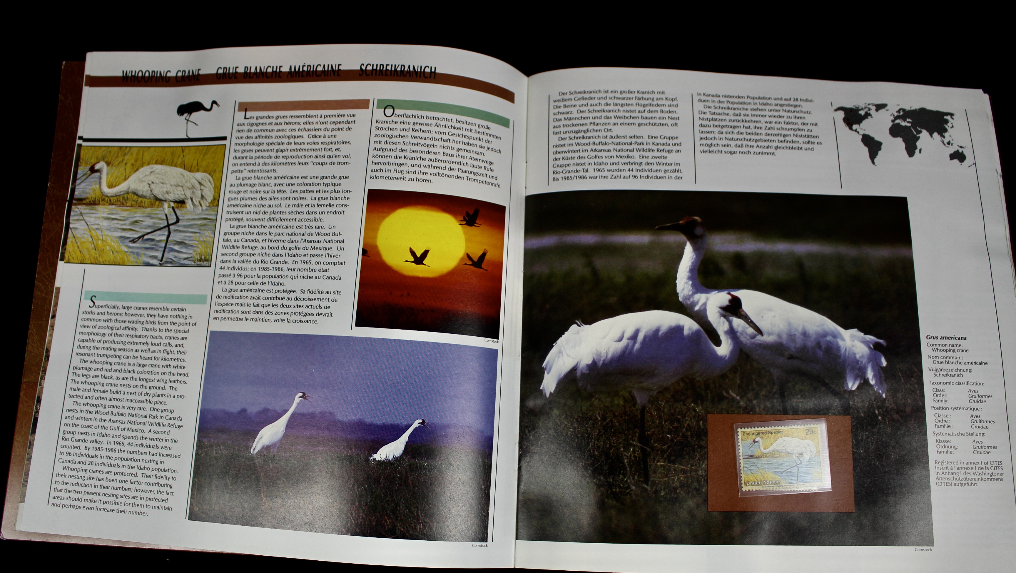 Twenty-Seven United Nations Booklets With Postage Stamps