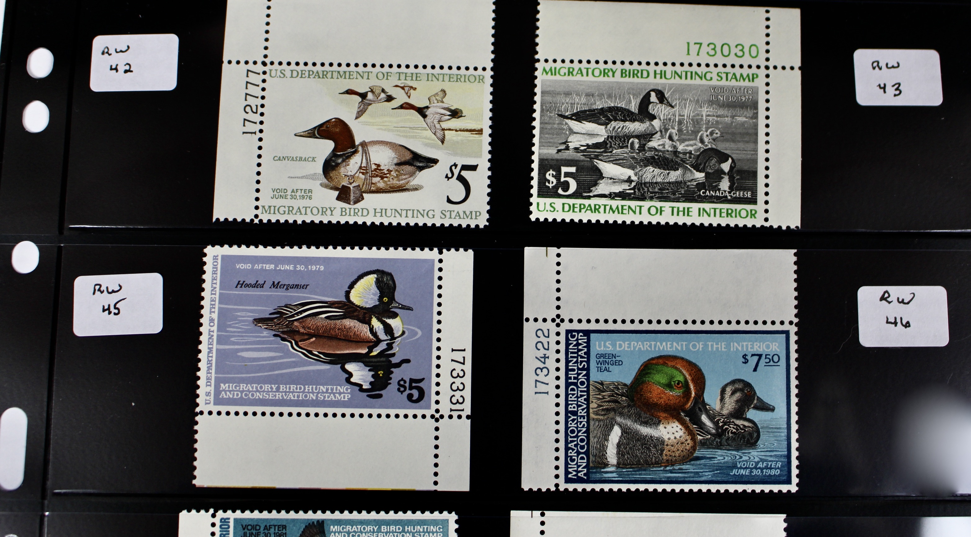 U.S. Duck Stamp Collection