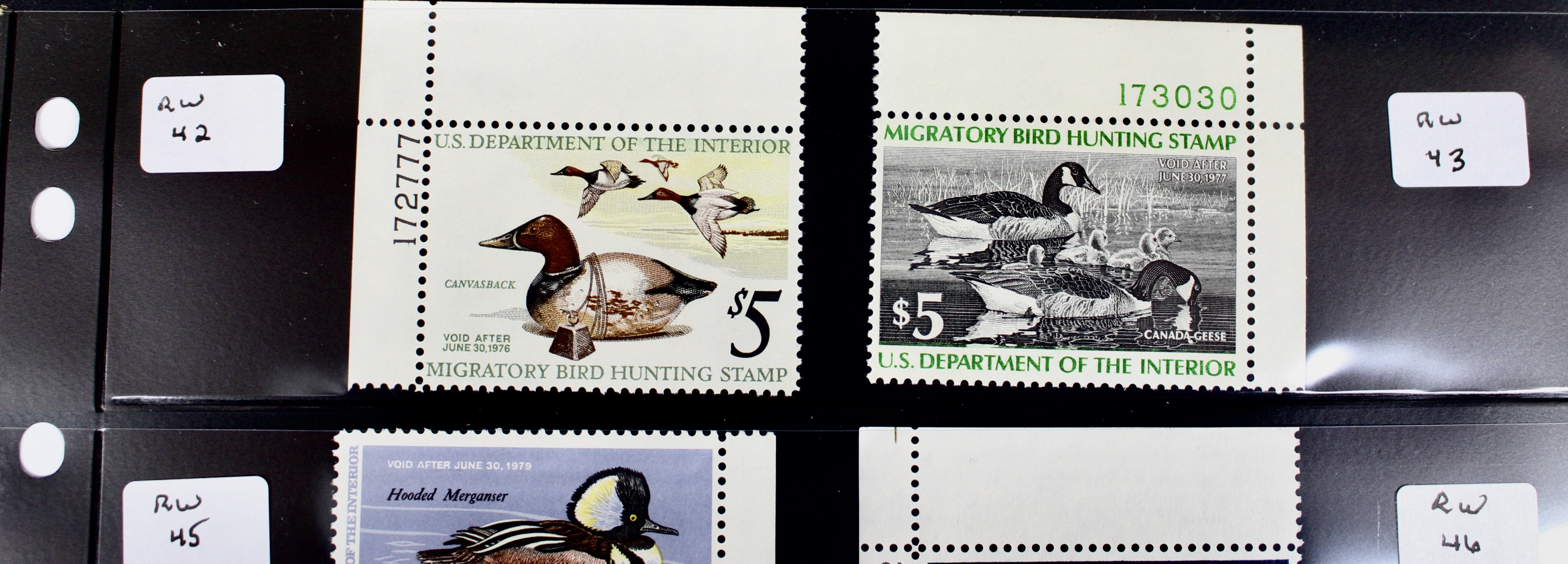 U.S. Duck Stamp Collection