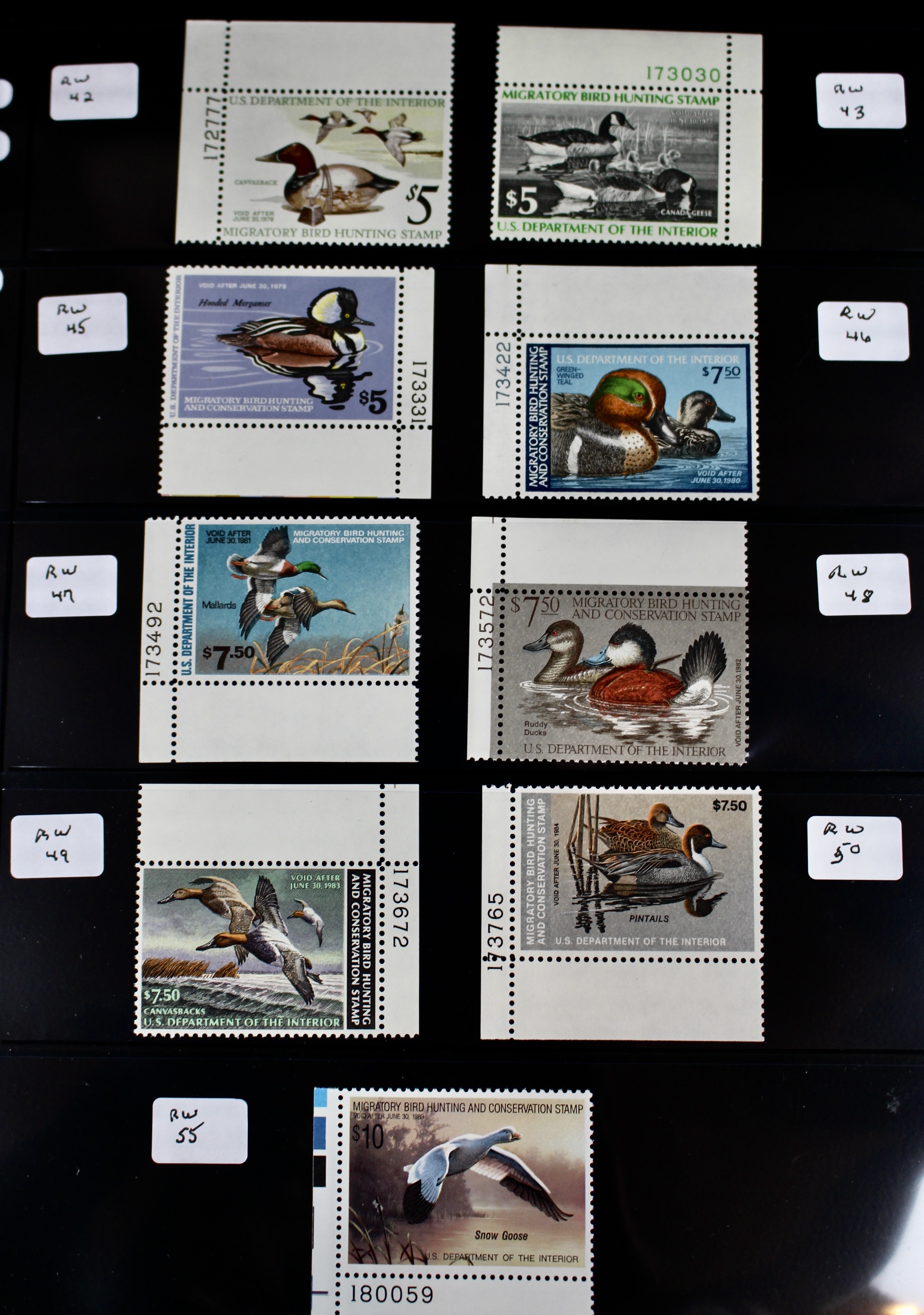 U.S. Duck Stamp Collection