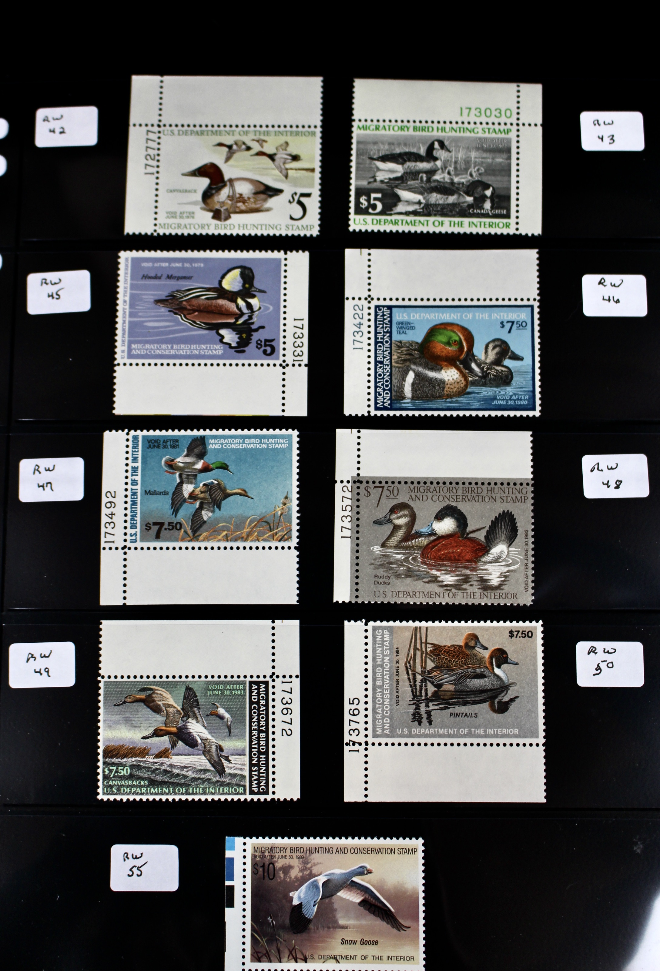 U.S. Duck Stamp Collection