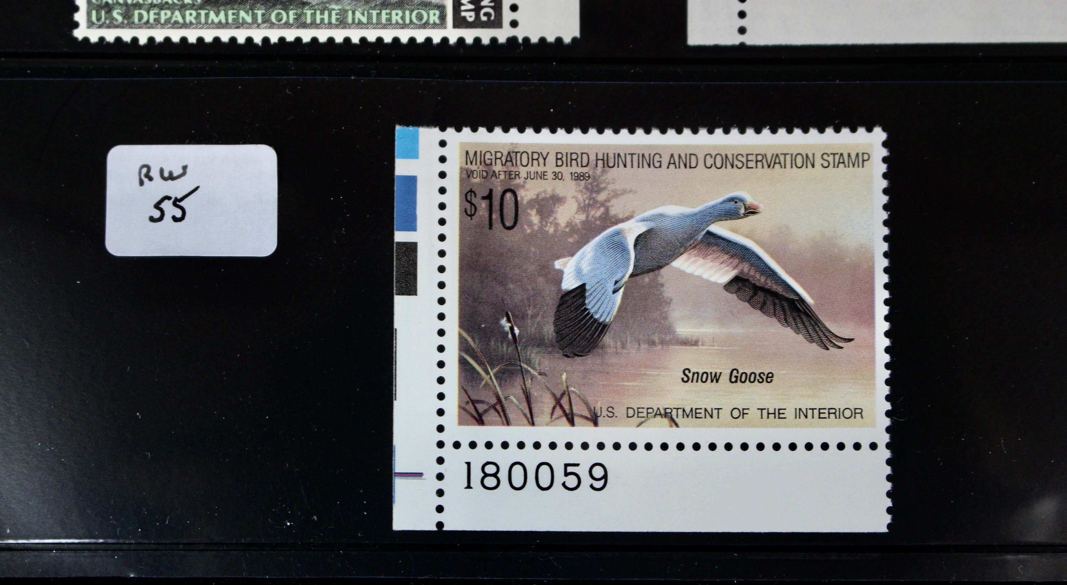 U.S. Duck Stamp Collection