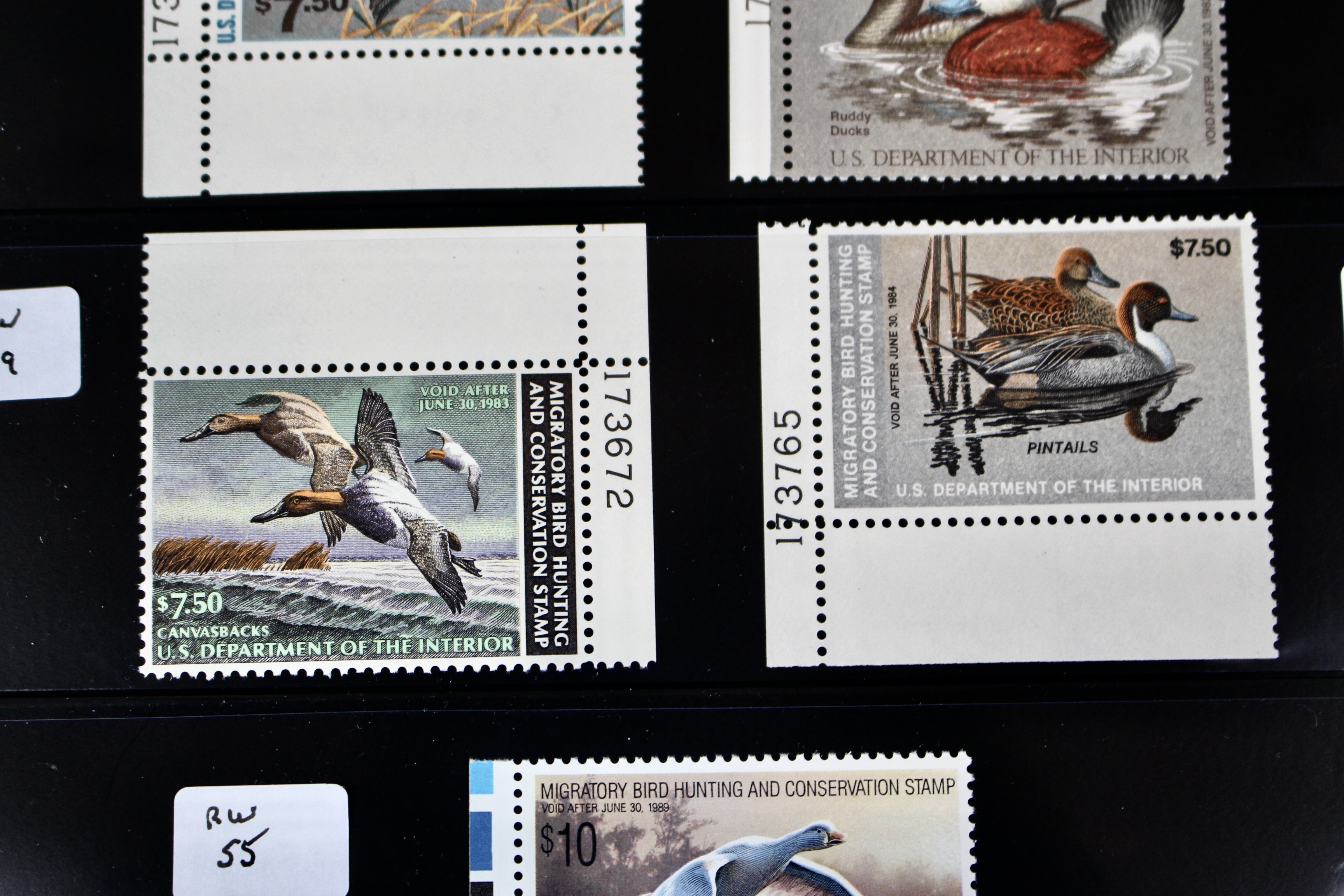U.S. Duck Stamp Collection
