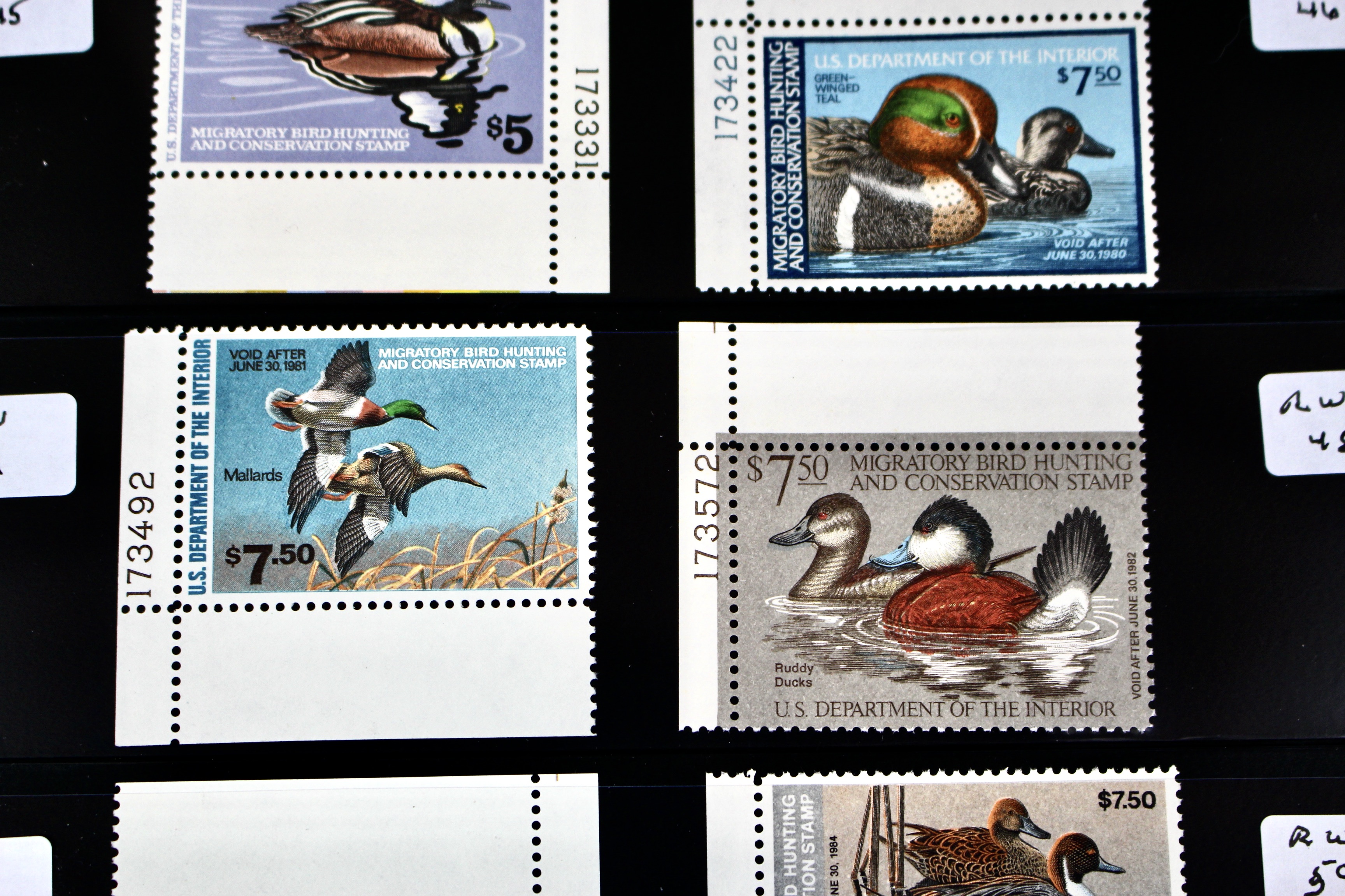 U.S. Duck Stamp Collection