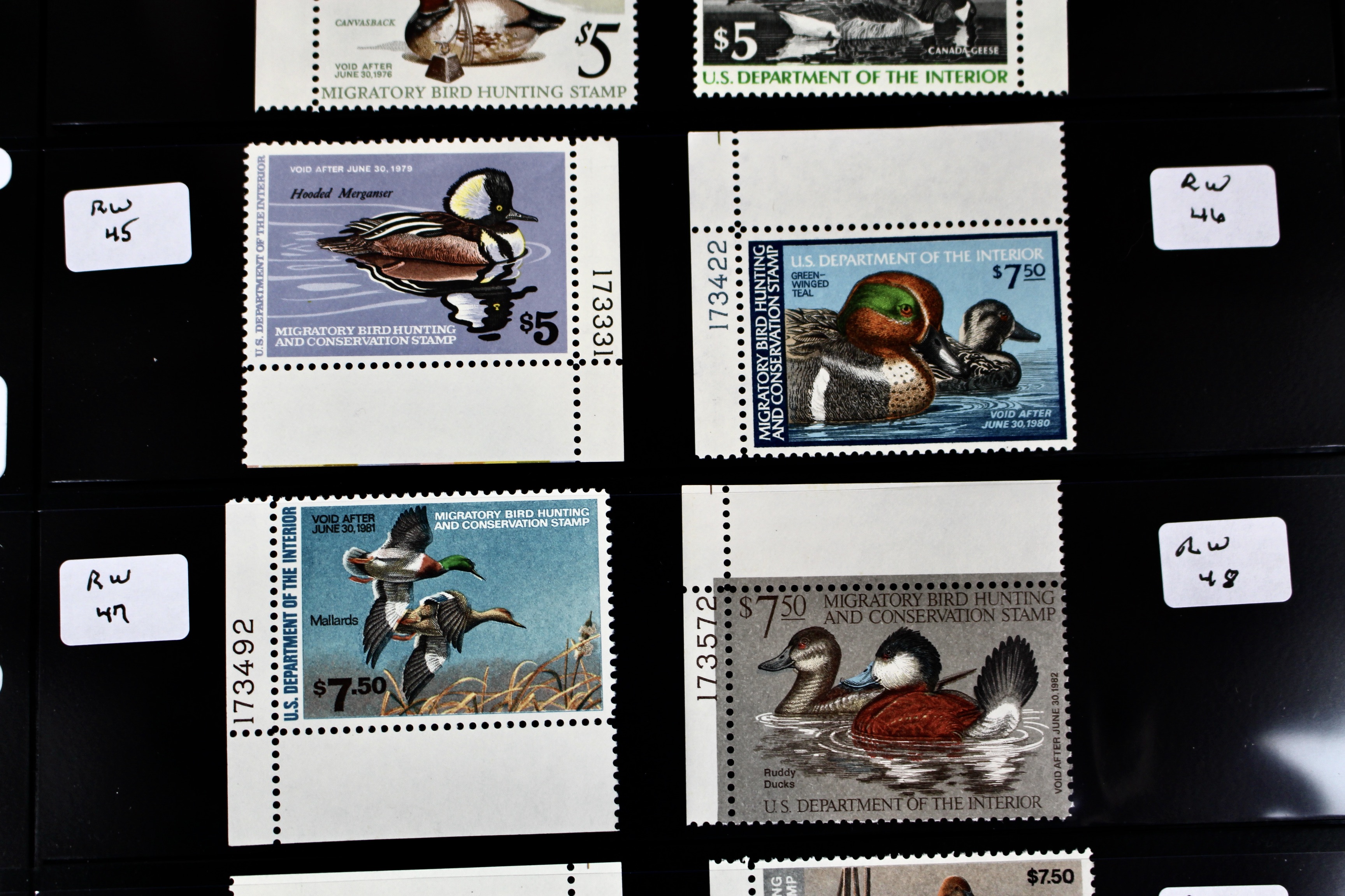 U.S. Duck Stamp Collection