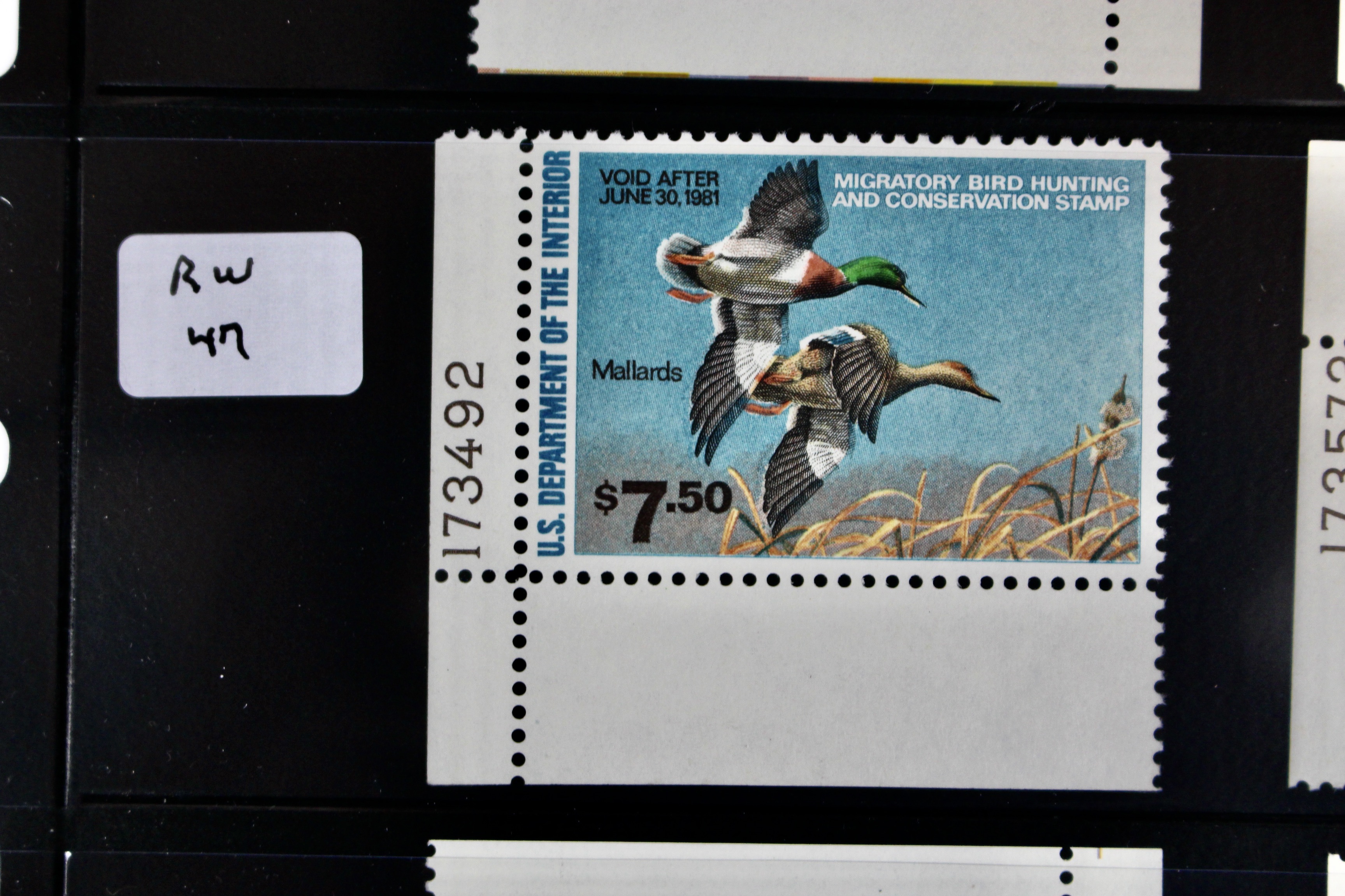 U.S. Duck Stamp Collection