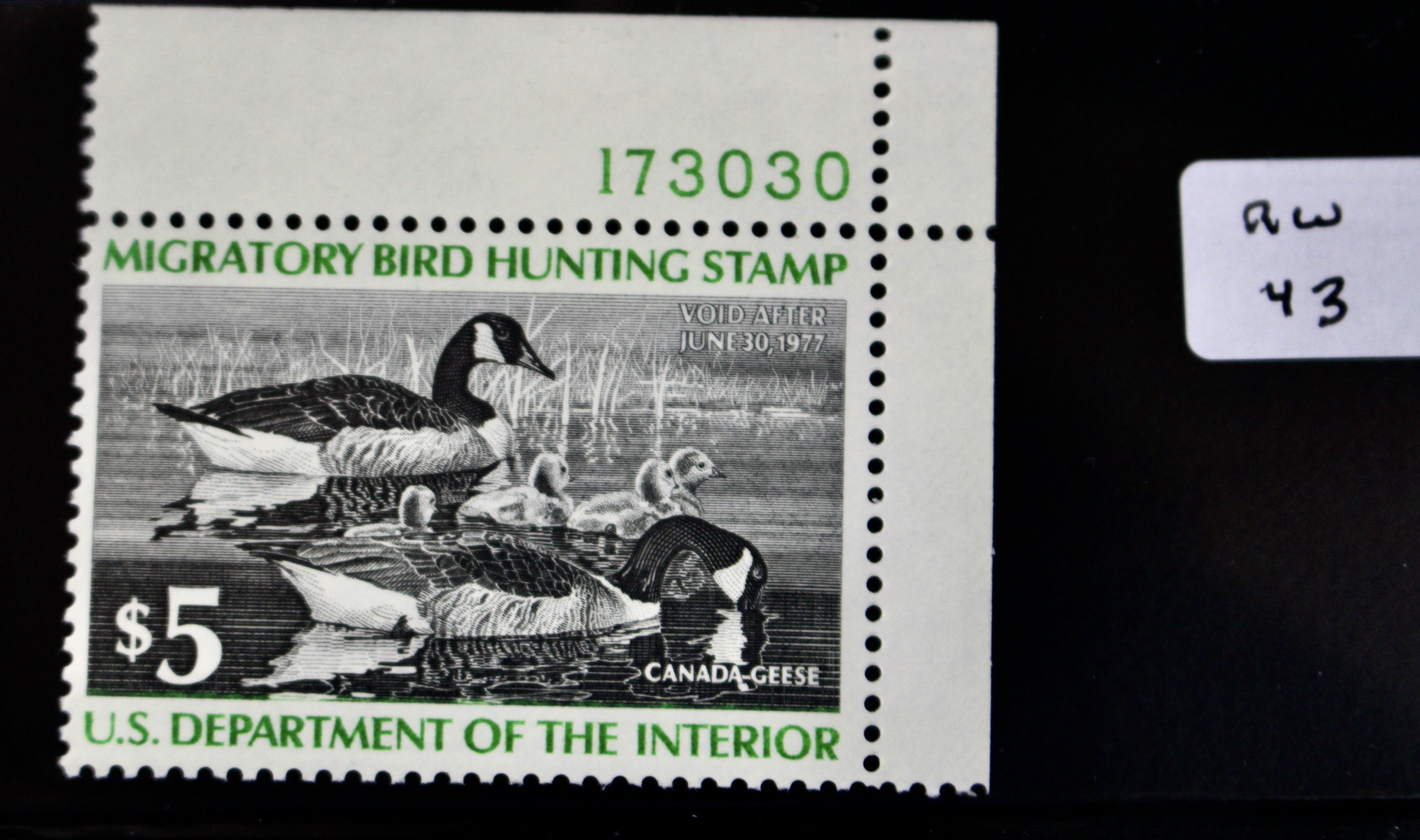 U.S. Duck Stamp Collection