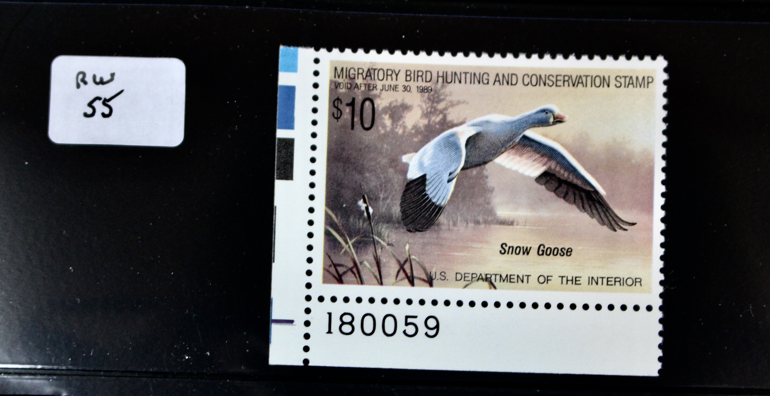 U.S. Duck Stamp Collection