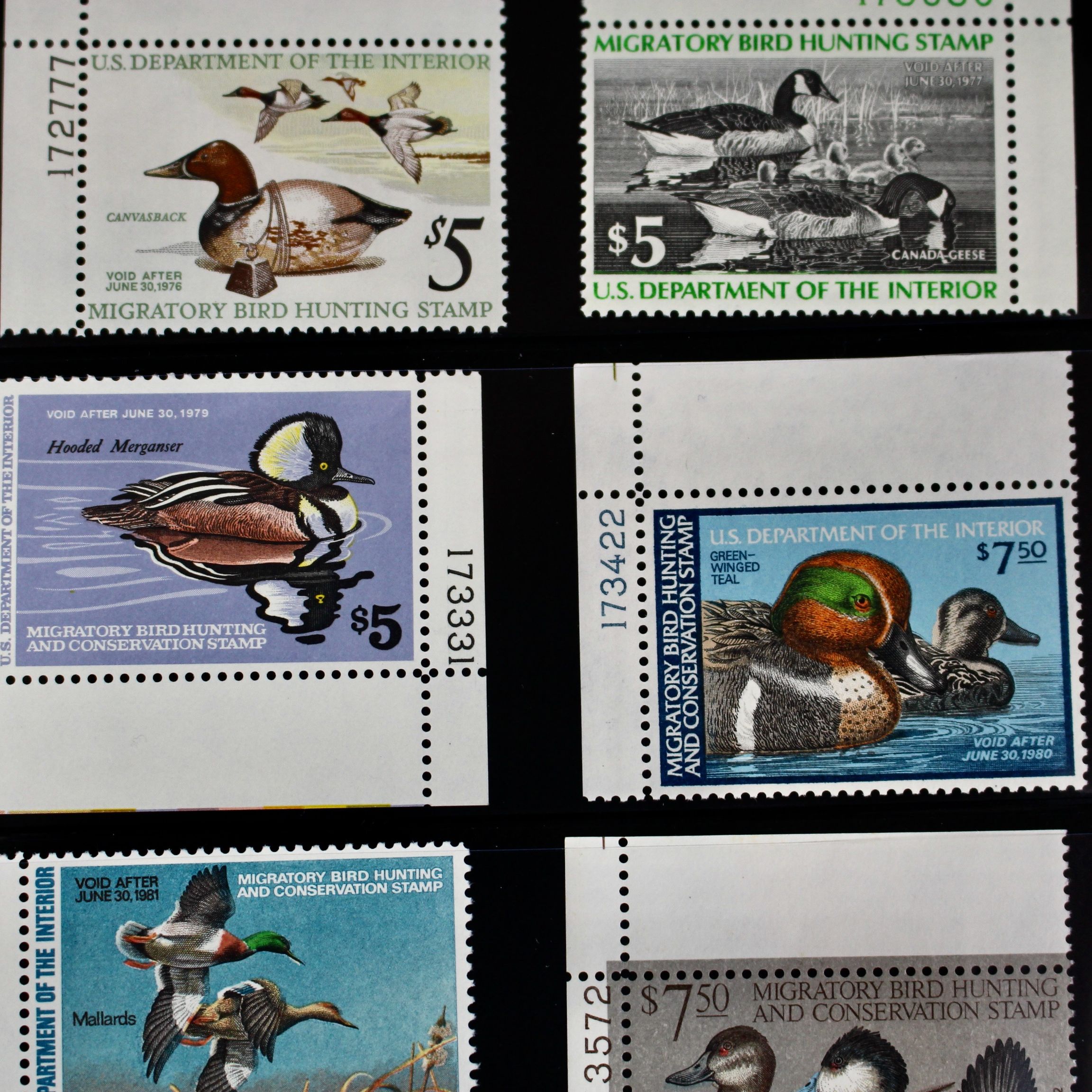 U.S. Duck Stamp Collection