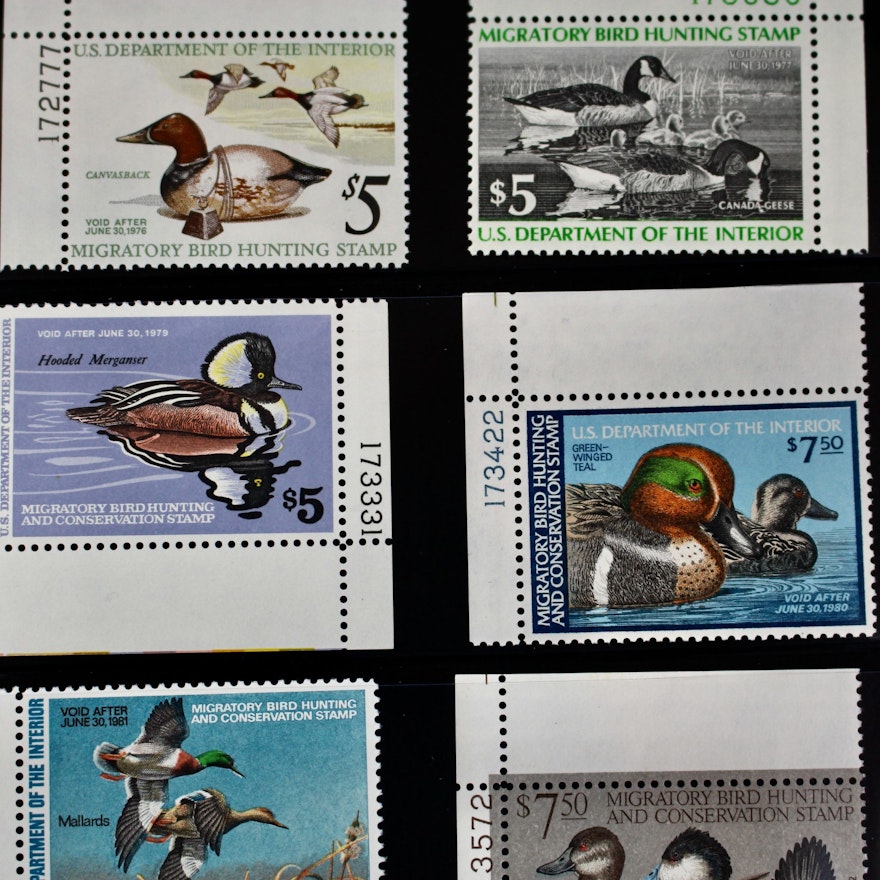 U.S. Duck Stamp Collection