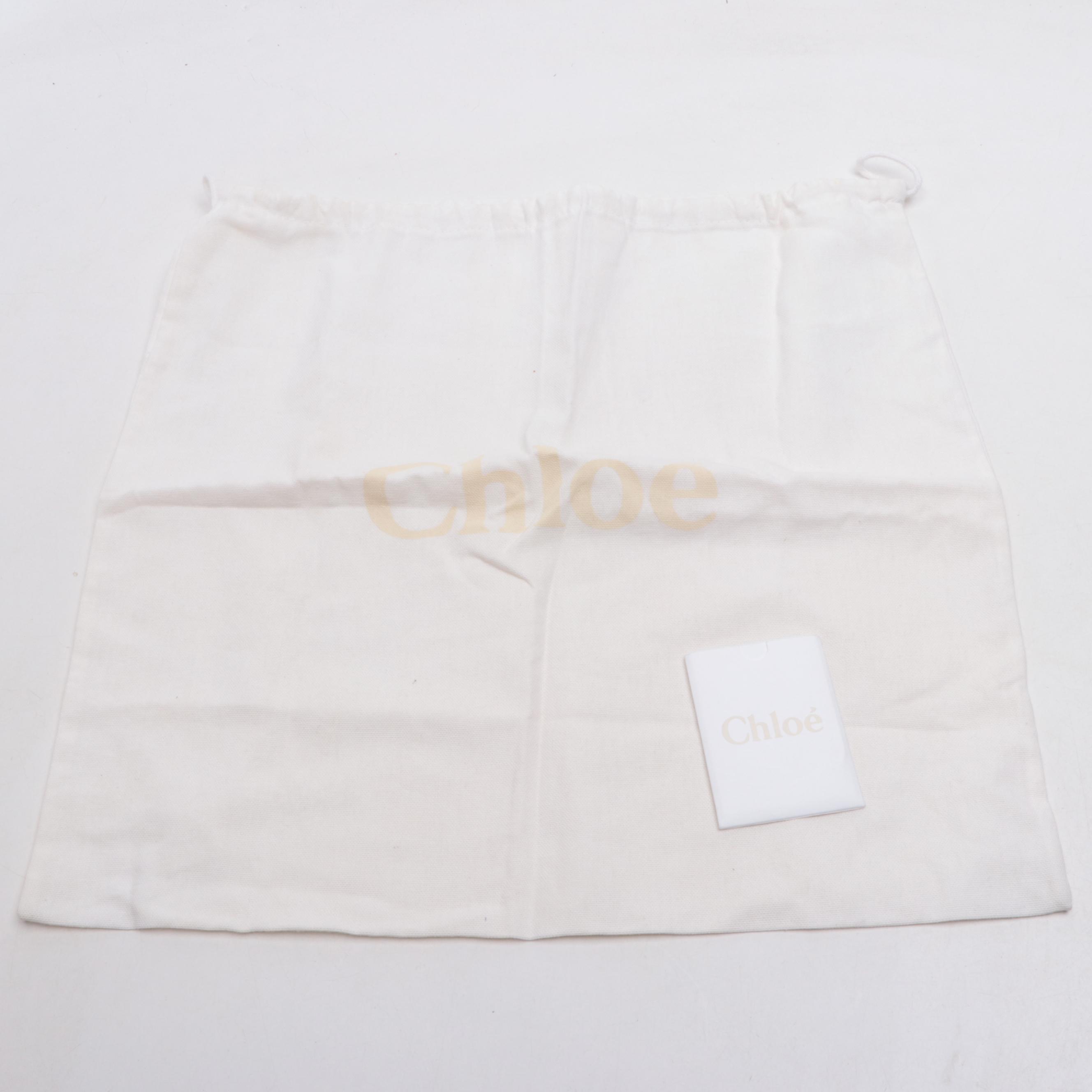 Chloé Mini Ethel Two-Way Bag in Grain Leather