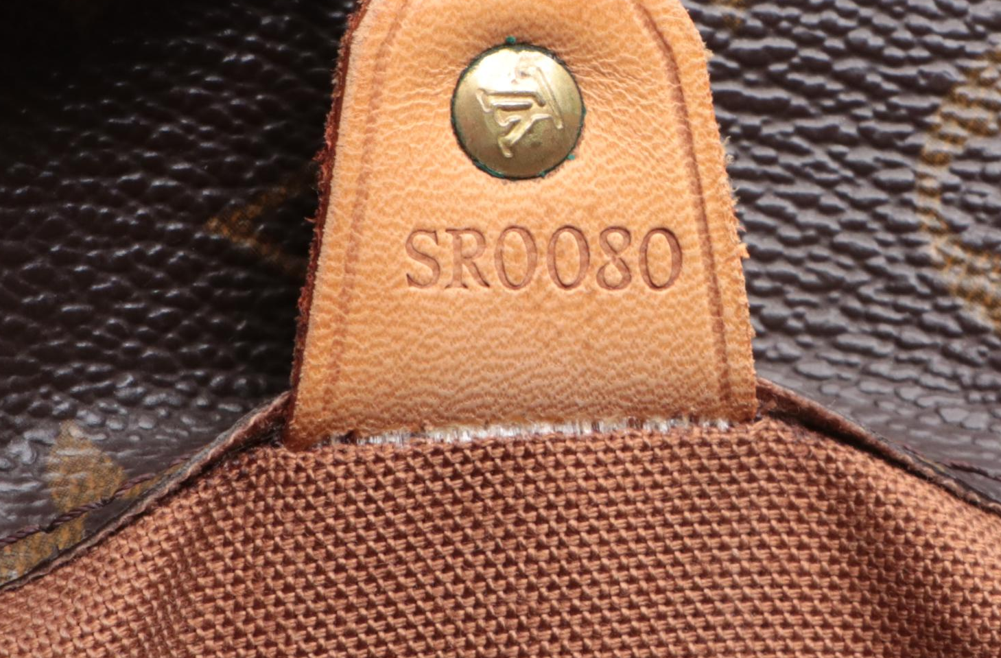 Louis Vuitton Vavin GM Tote in Monogram Canvas and Vachetta Leather