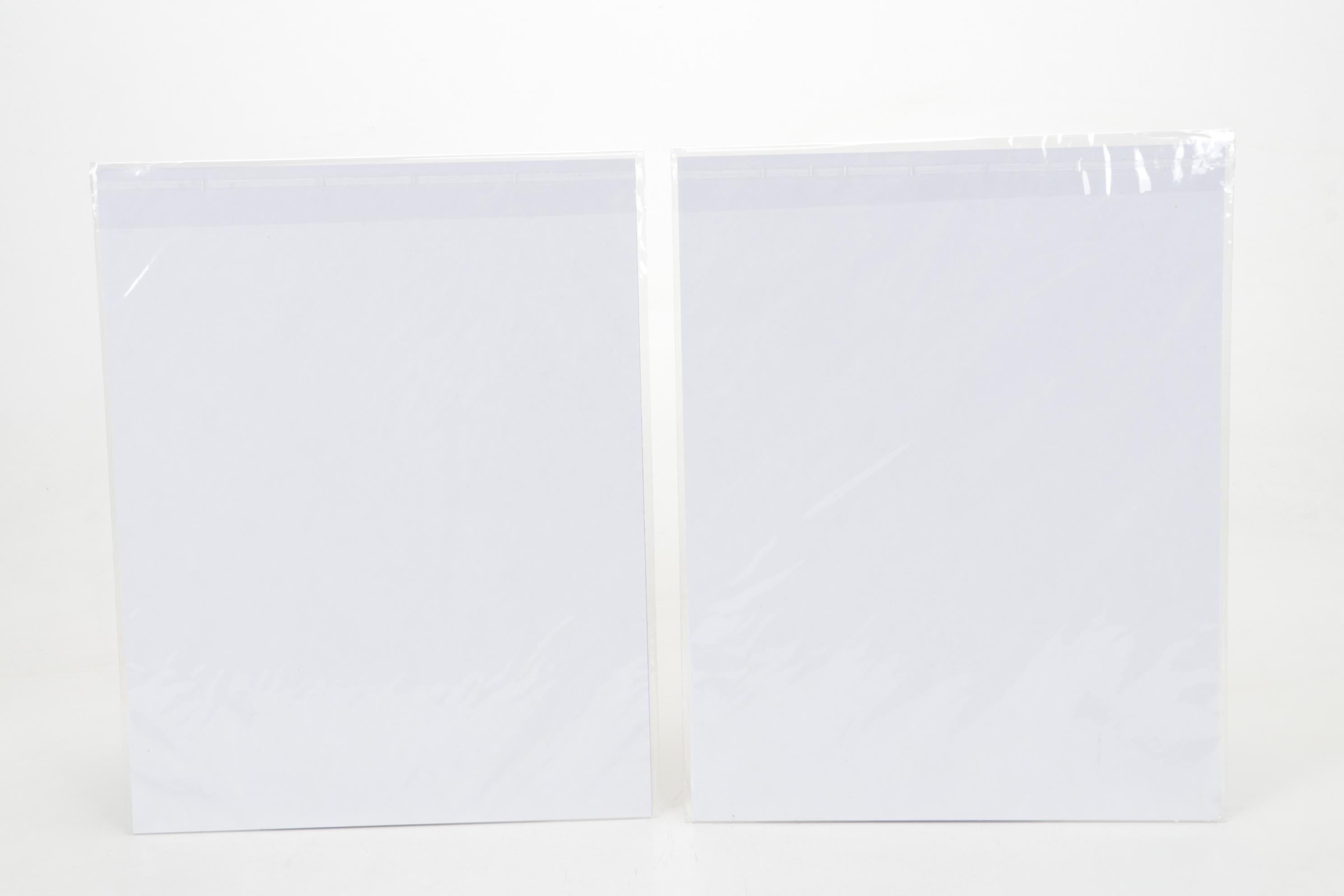 Patrick Mayes Giclées of Octopi on Motel Signs, 21st Century