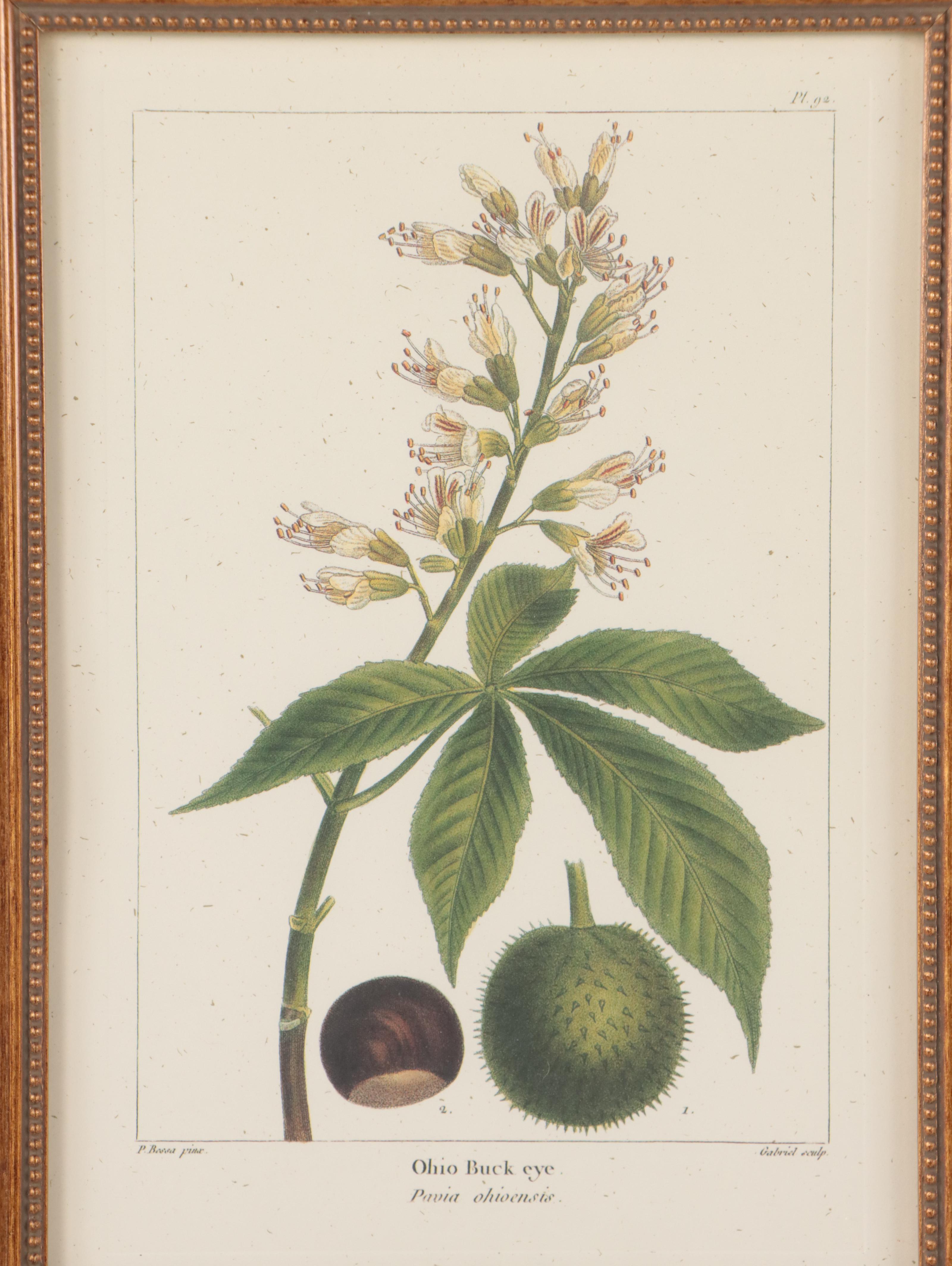 Offset Lithographs After Pancrace Bessa "Papaw," and More