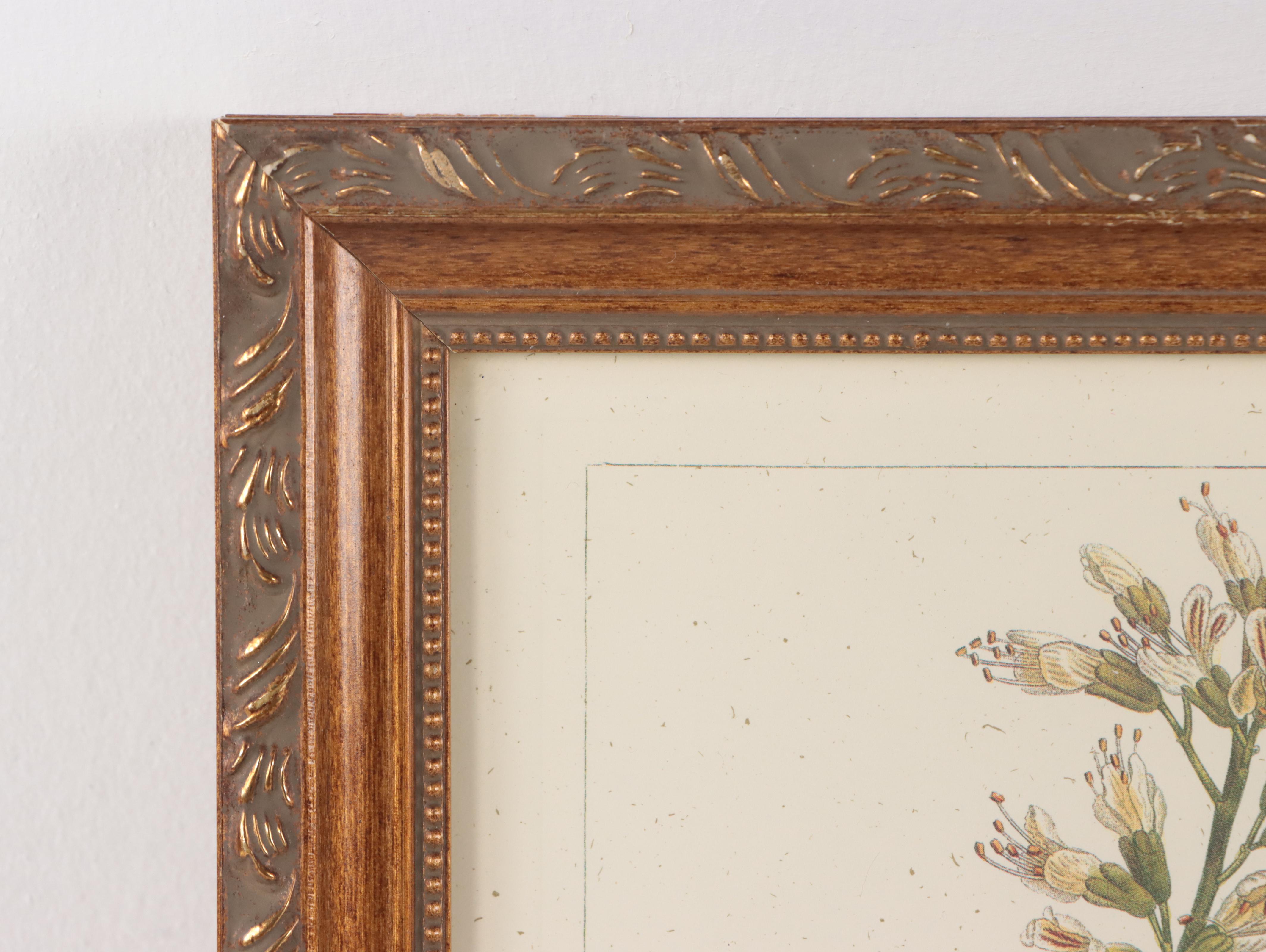 Offset Lithographs After Pancrace Bessa "Papaw," and More