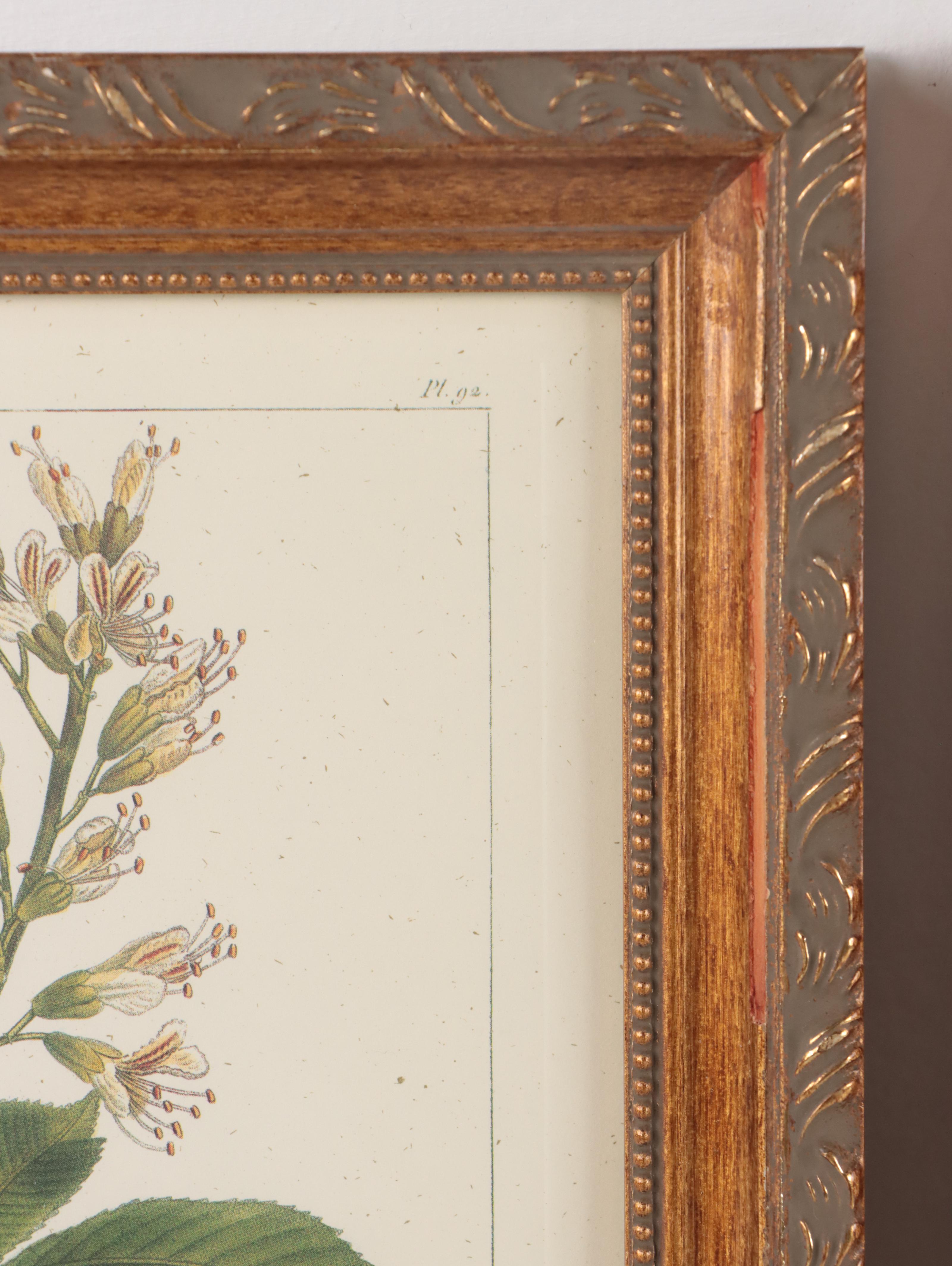 Offset Lithographs After Pancrace Bessa "Papaw," and More