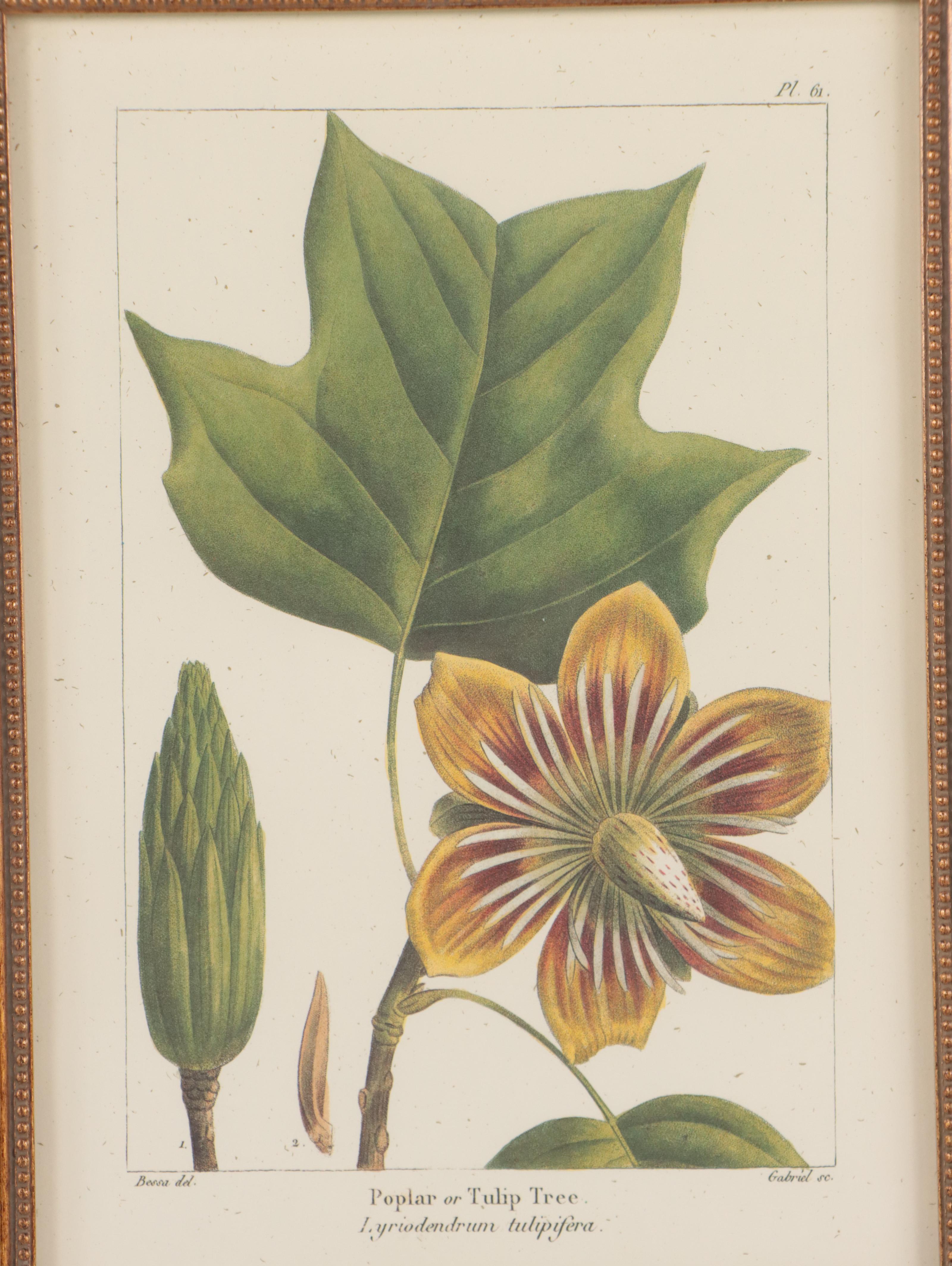 Offset Lithographs After Pancrace Bessa "Papaw," and More