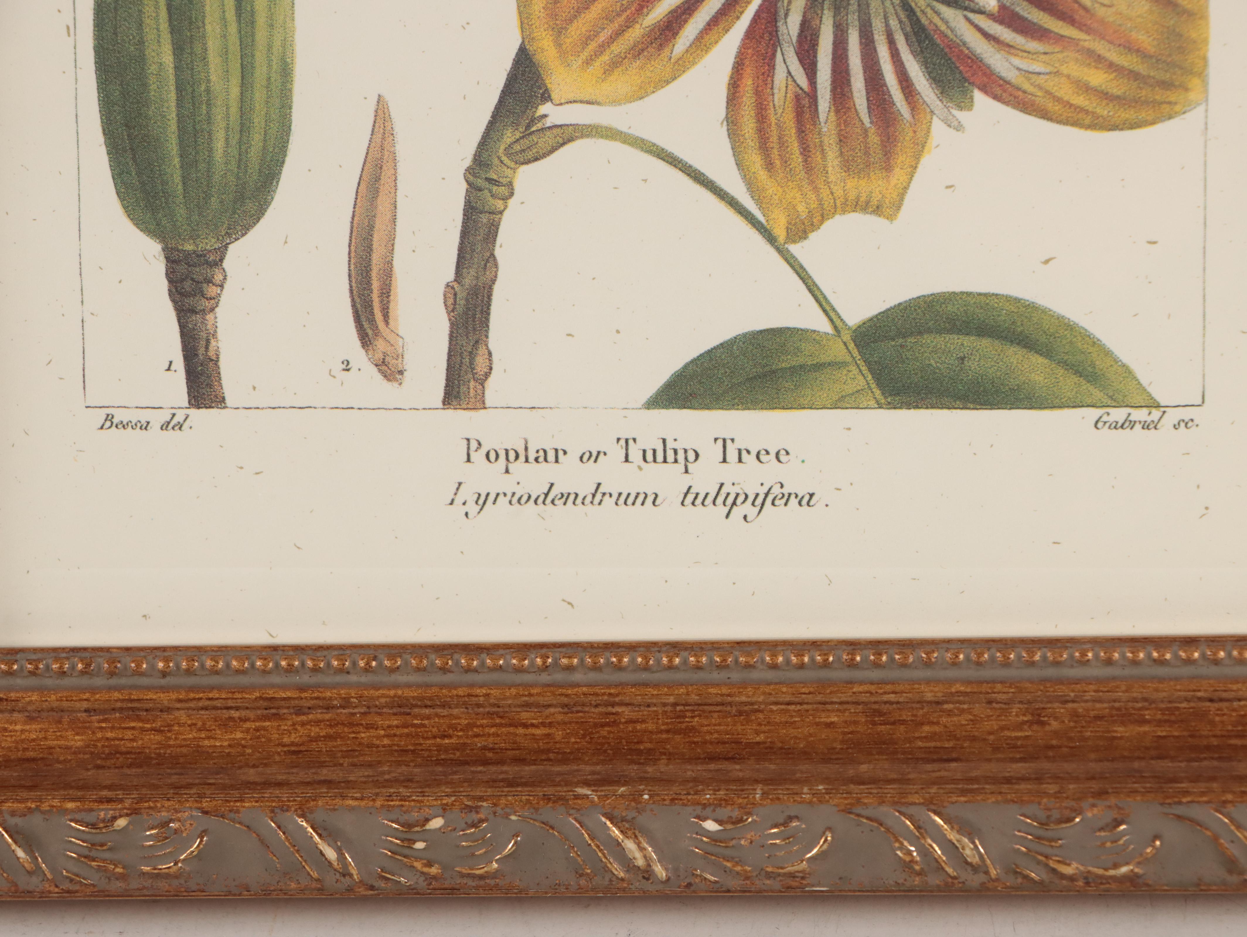 Offset Lithographs After Pancrace Bessa "Papaw," and More