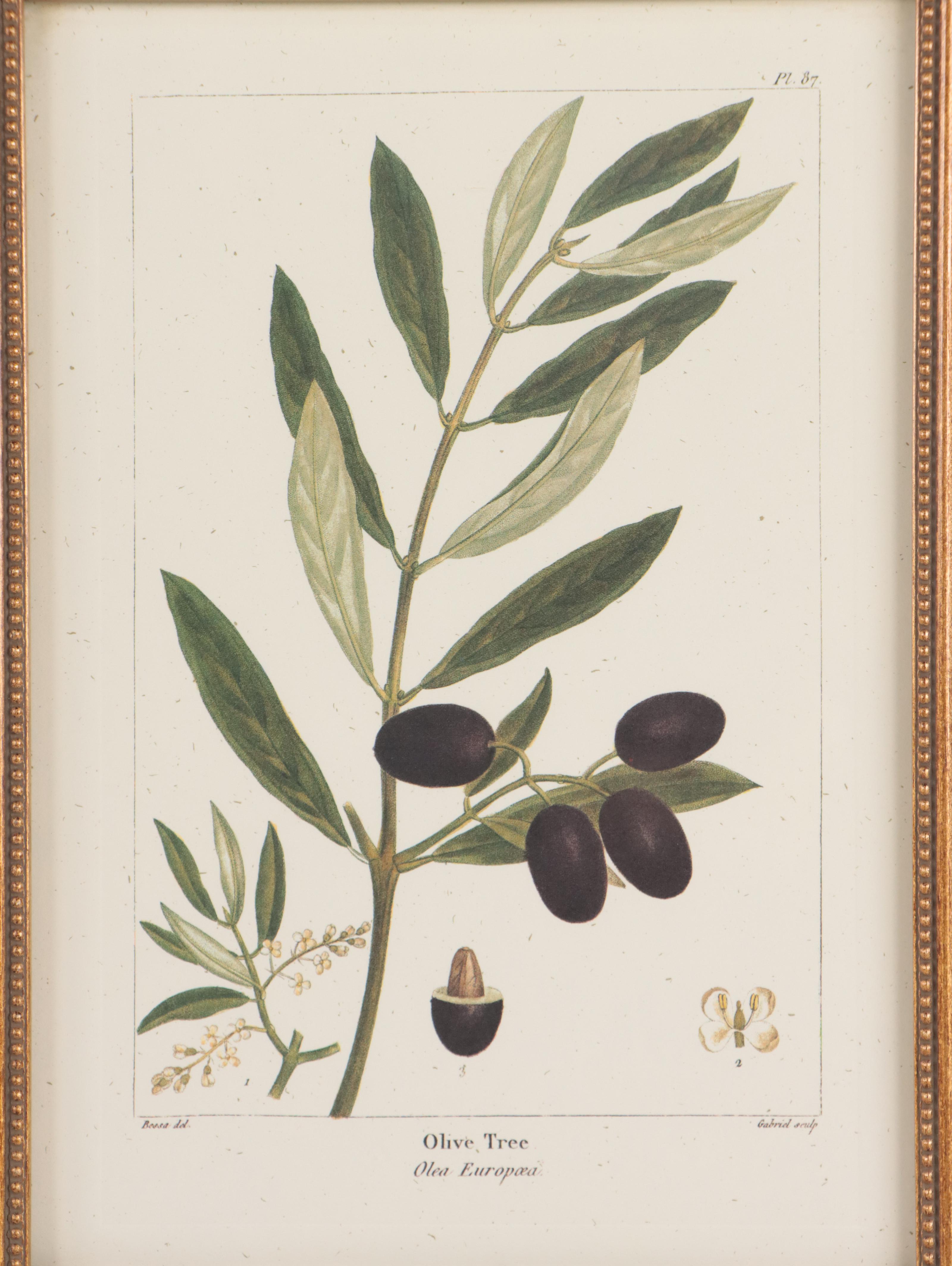 Offset Lithographs After Pancrace Bessa "Papaw," and More