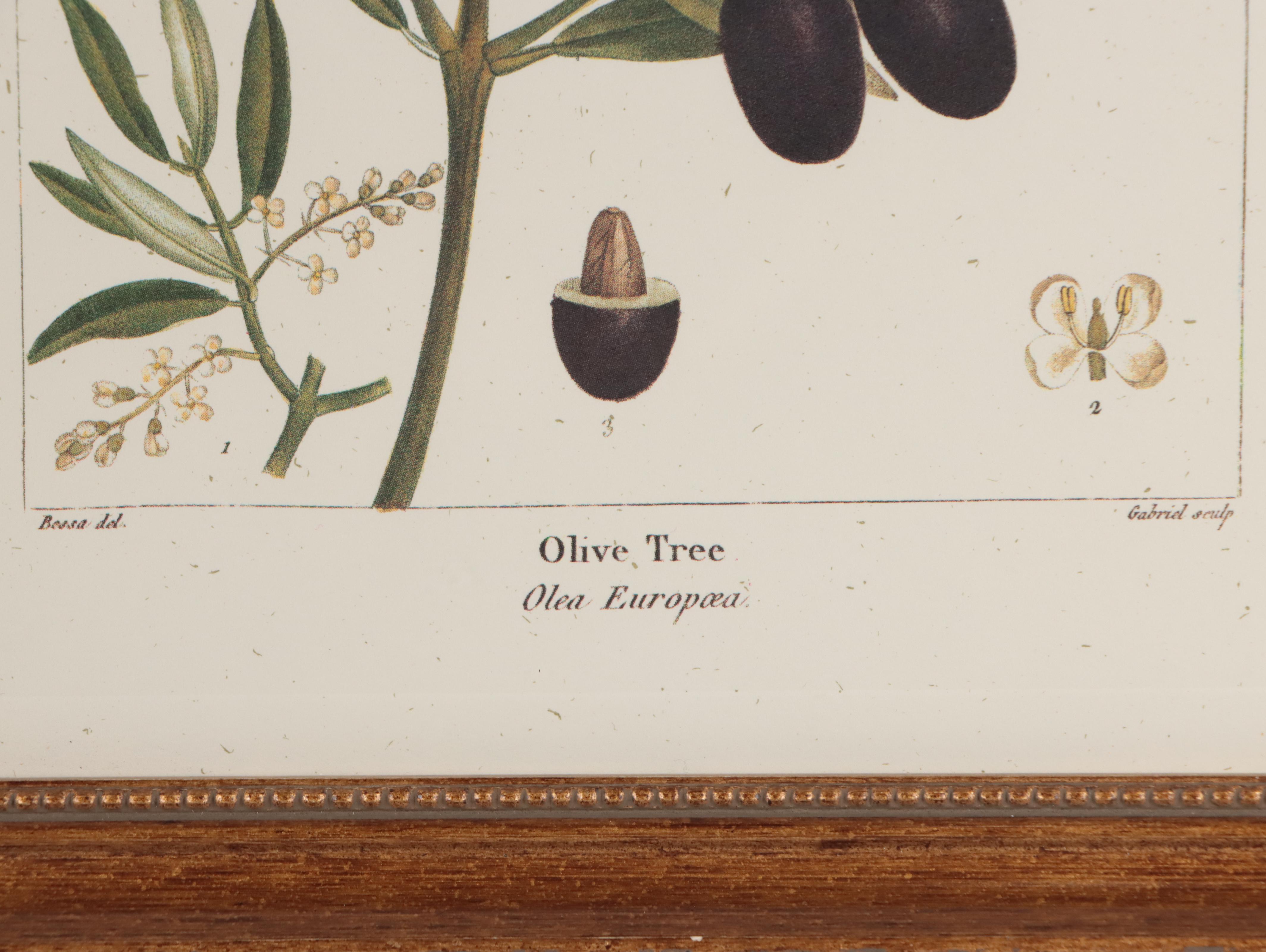 Offset Lithographs After Pancrace Bessa "Papaw," and More