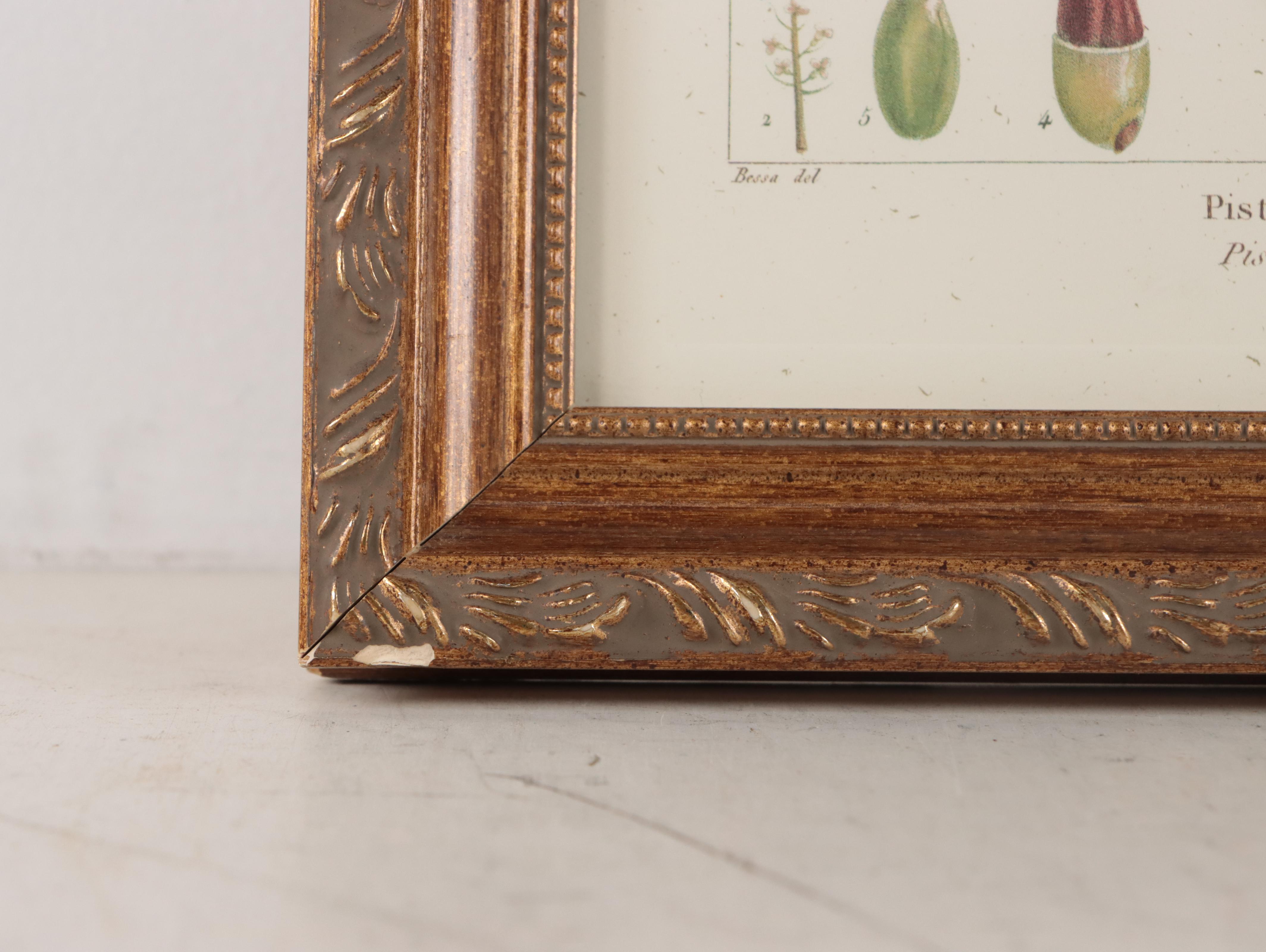 Offset Lithographs After Pancrace Bessa "Papaw," and More