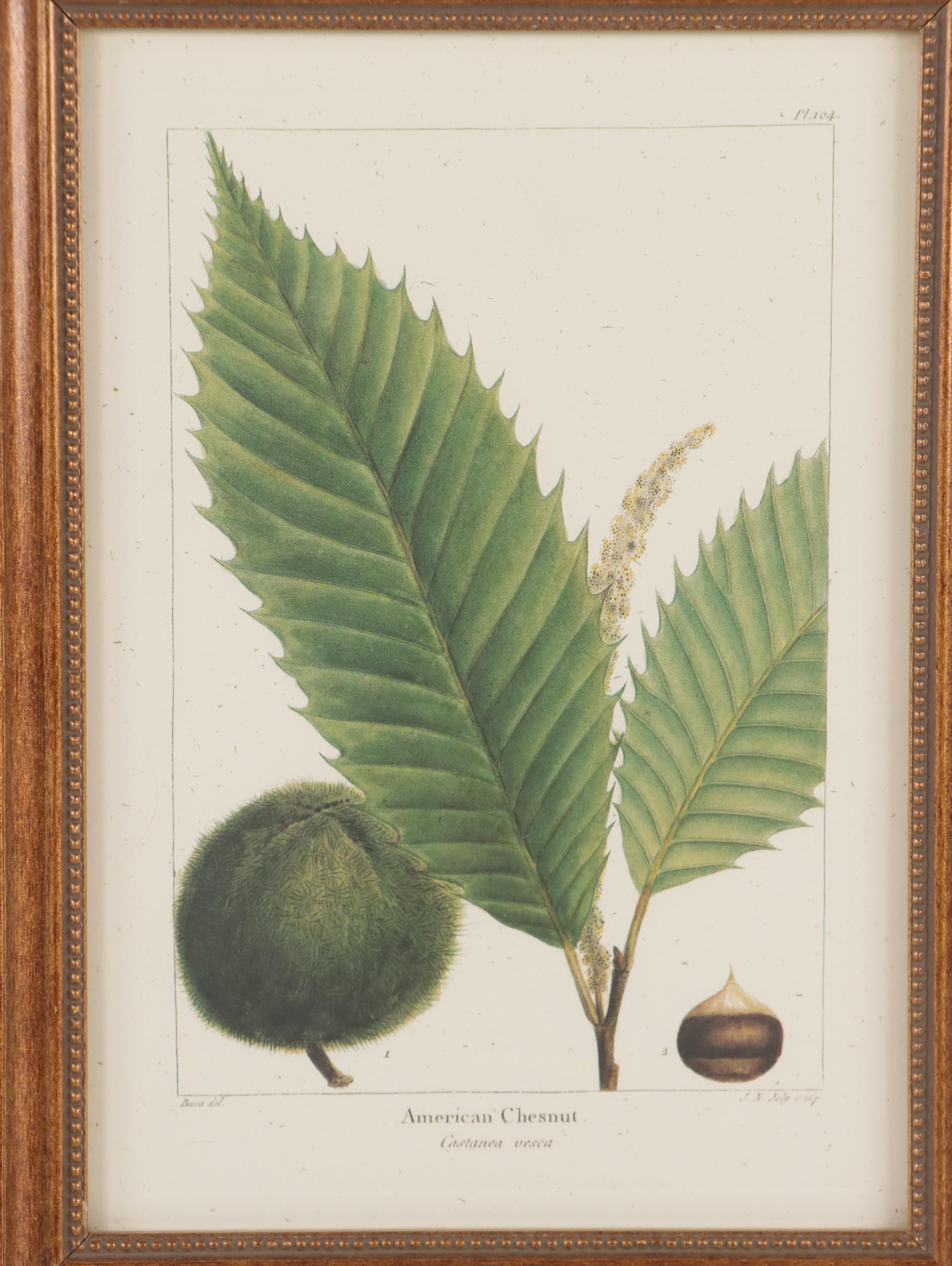 Offset Lithographs After Pancrace Bessa "Papaw," and More