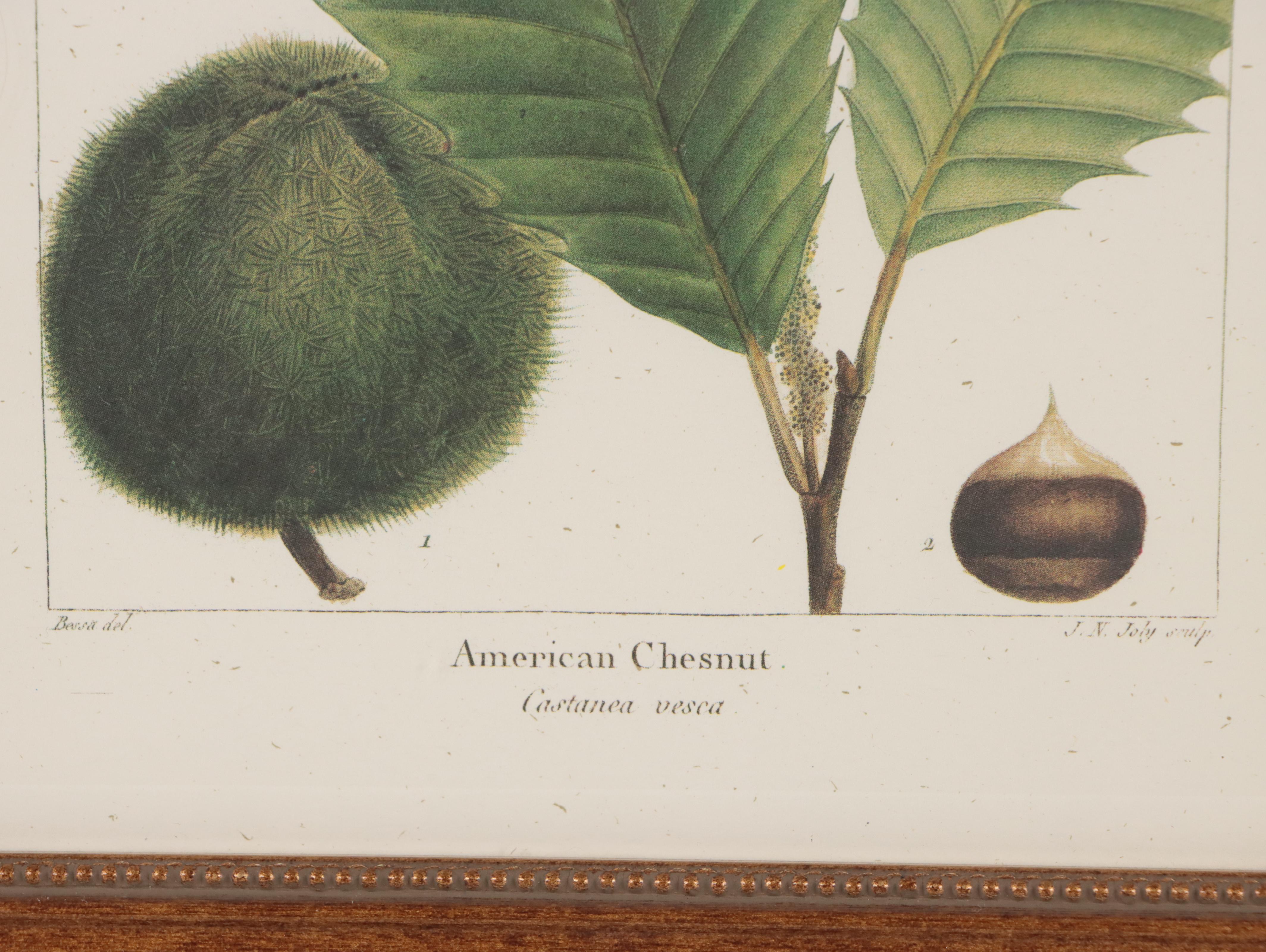 Offset Lithographs After Pancrace Bessa "Papaw," and More