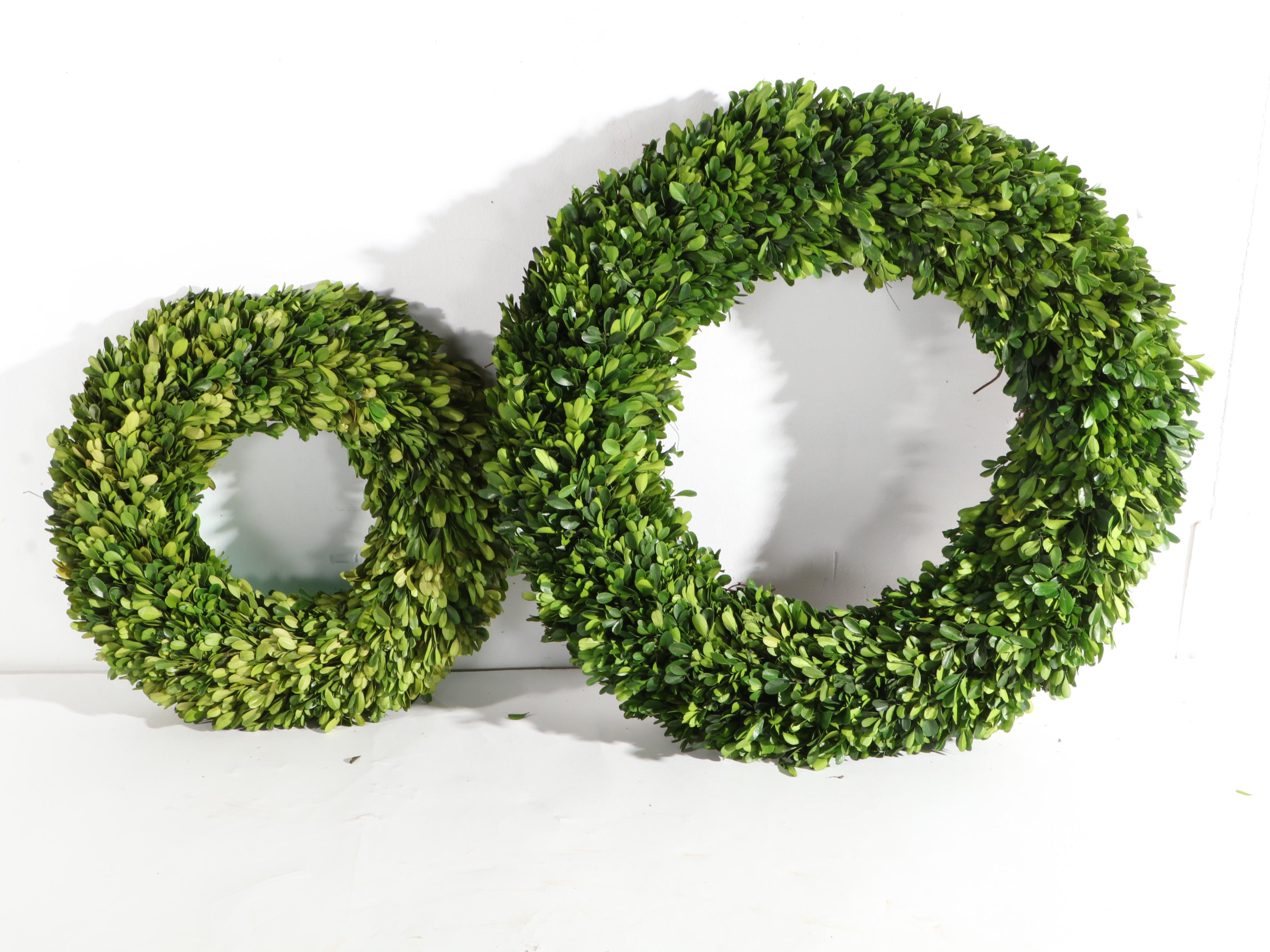 Boxwood Ornamental Evergreen Wreaths