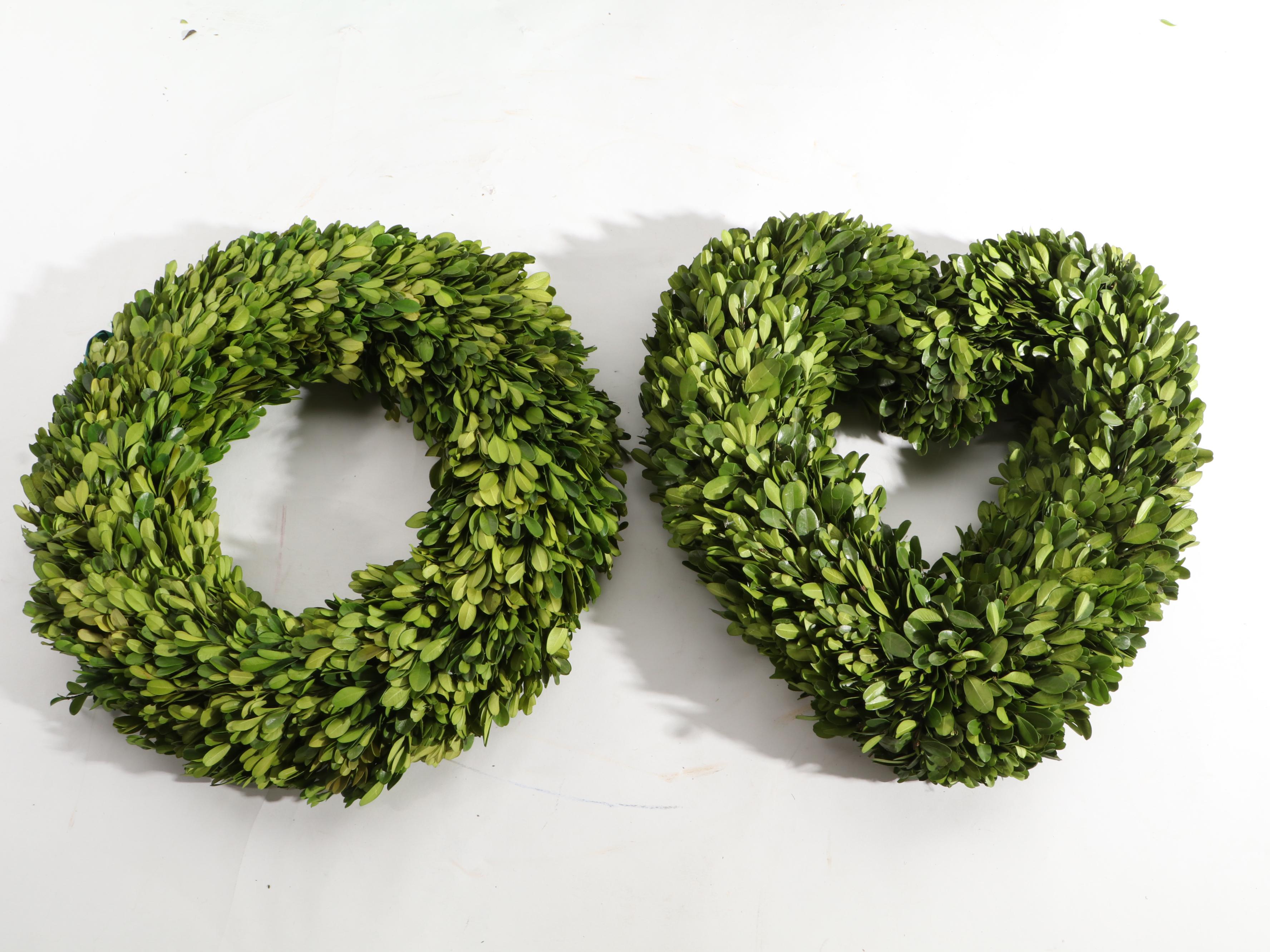 Boxwood Ornamental Evergreen Wreaths