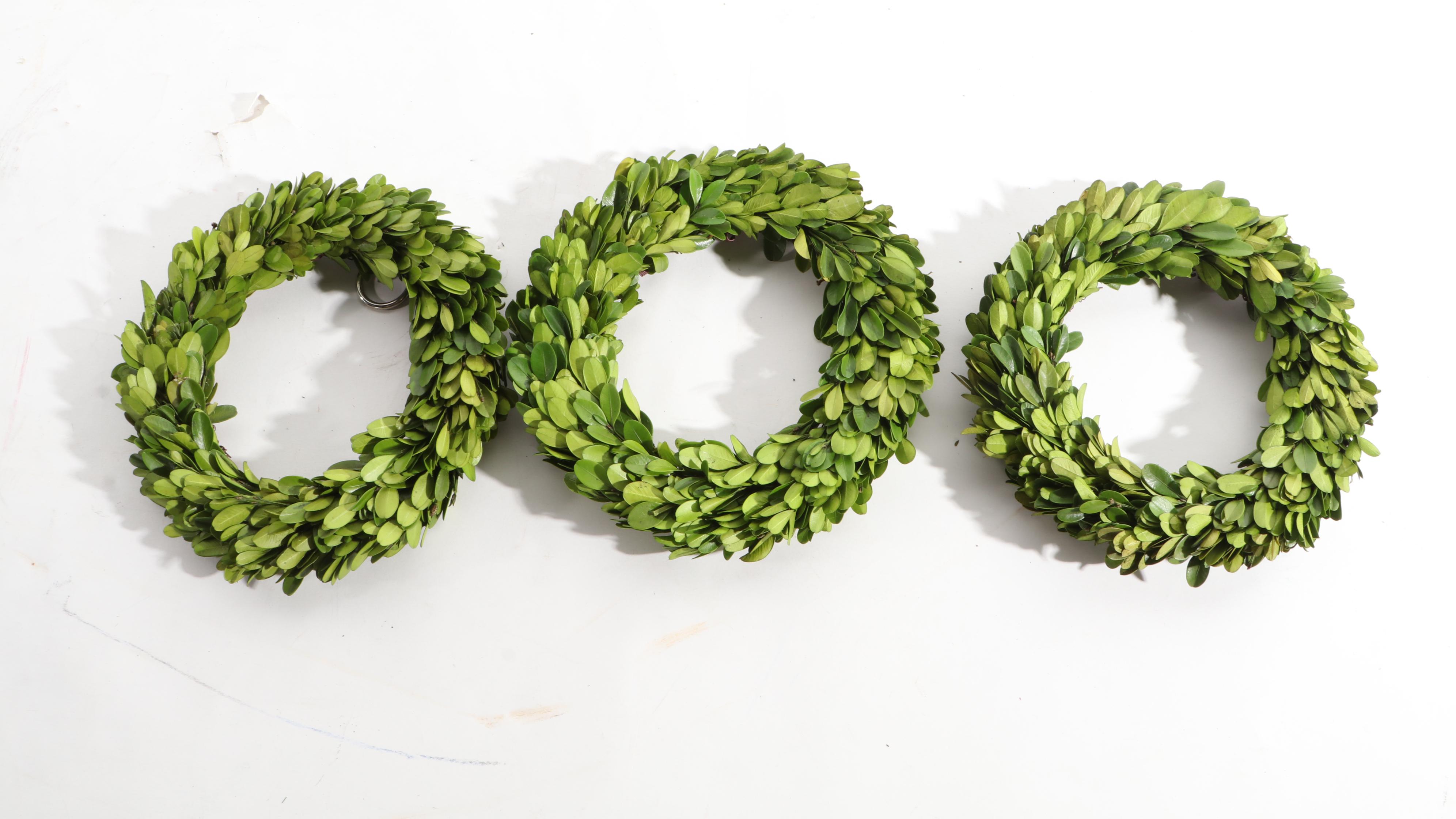 Boxwood Ornamental Evergreen Wreaths