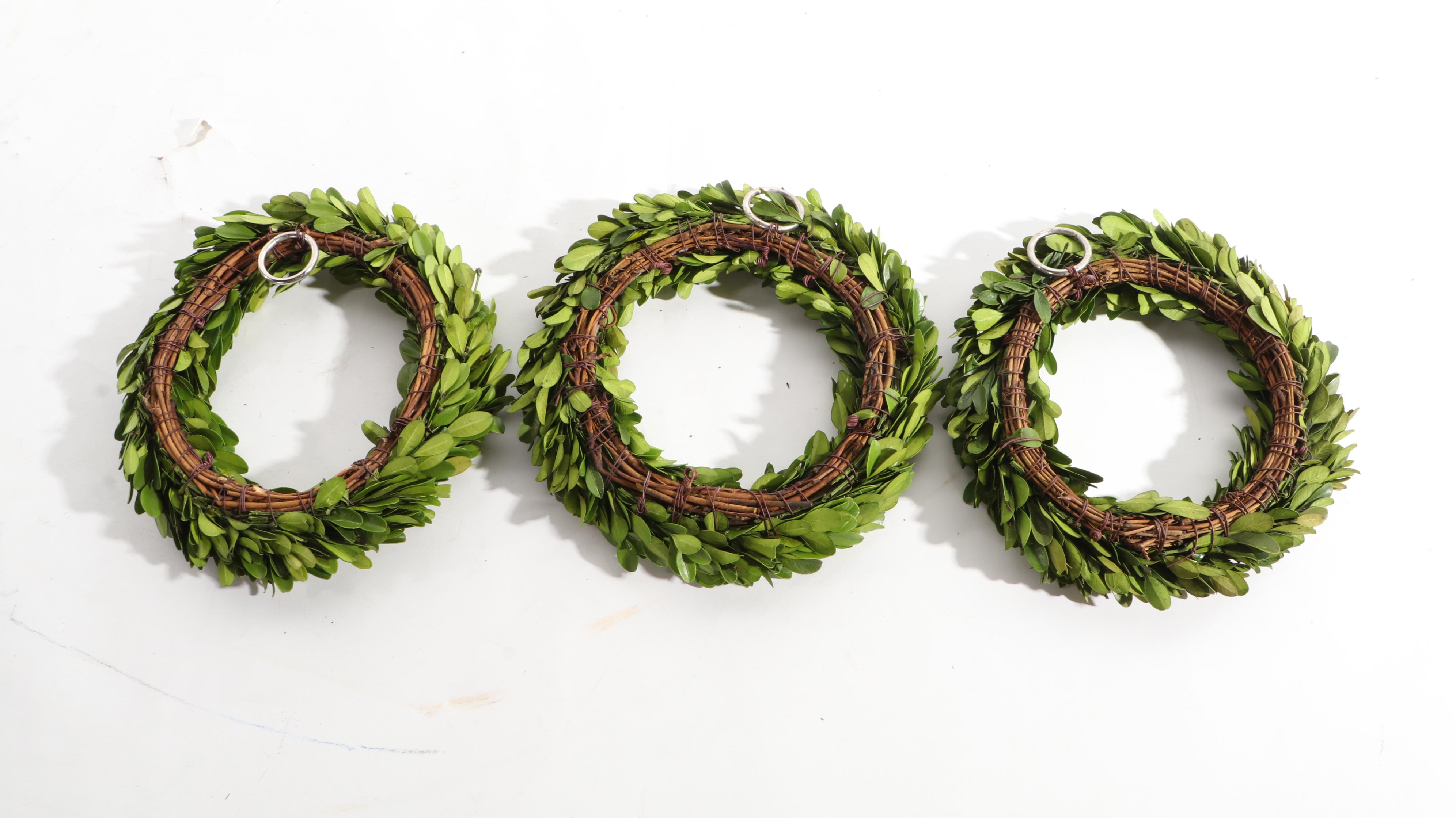 Boxwood Ornamental Evergreen Wreaths