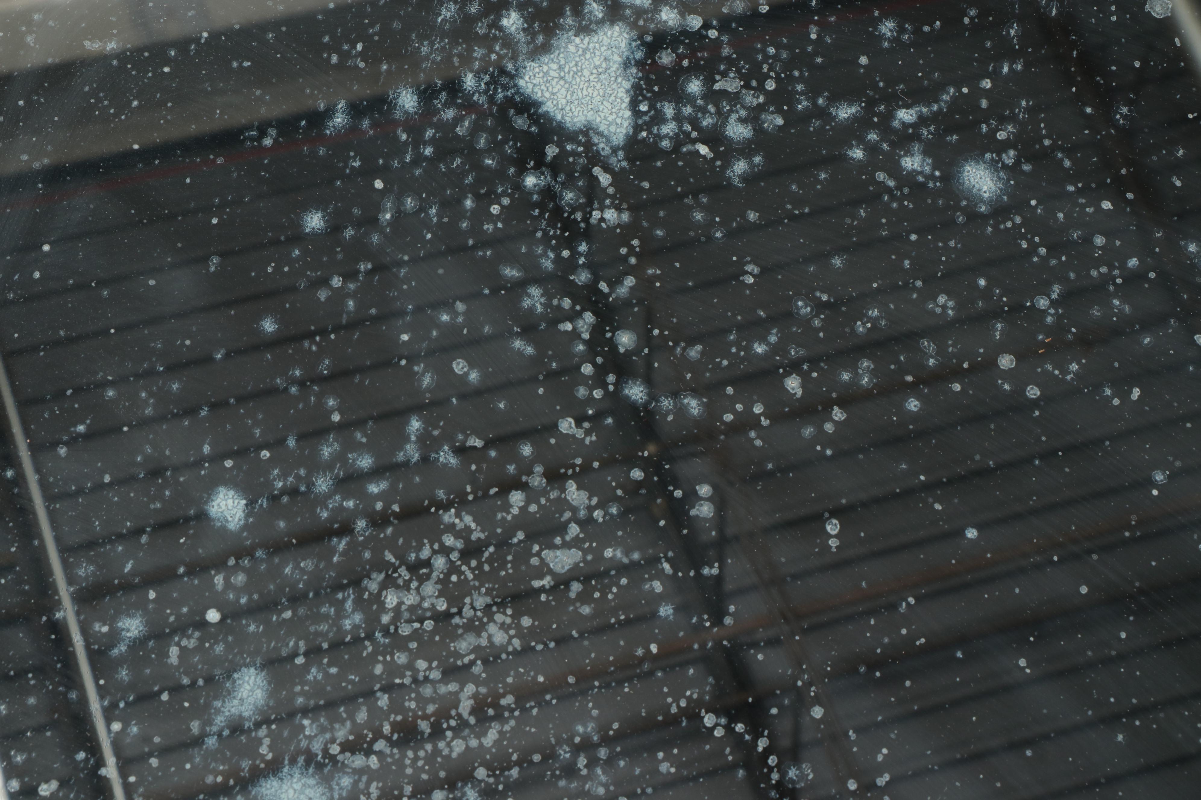 Romweber Louis XV Style Mahogany Five-Drawer Dresser, Early 20th Century