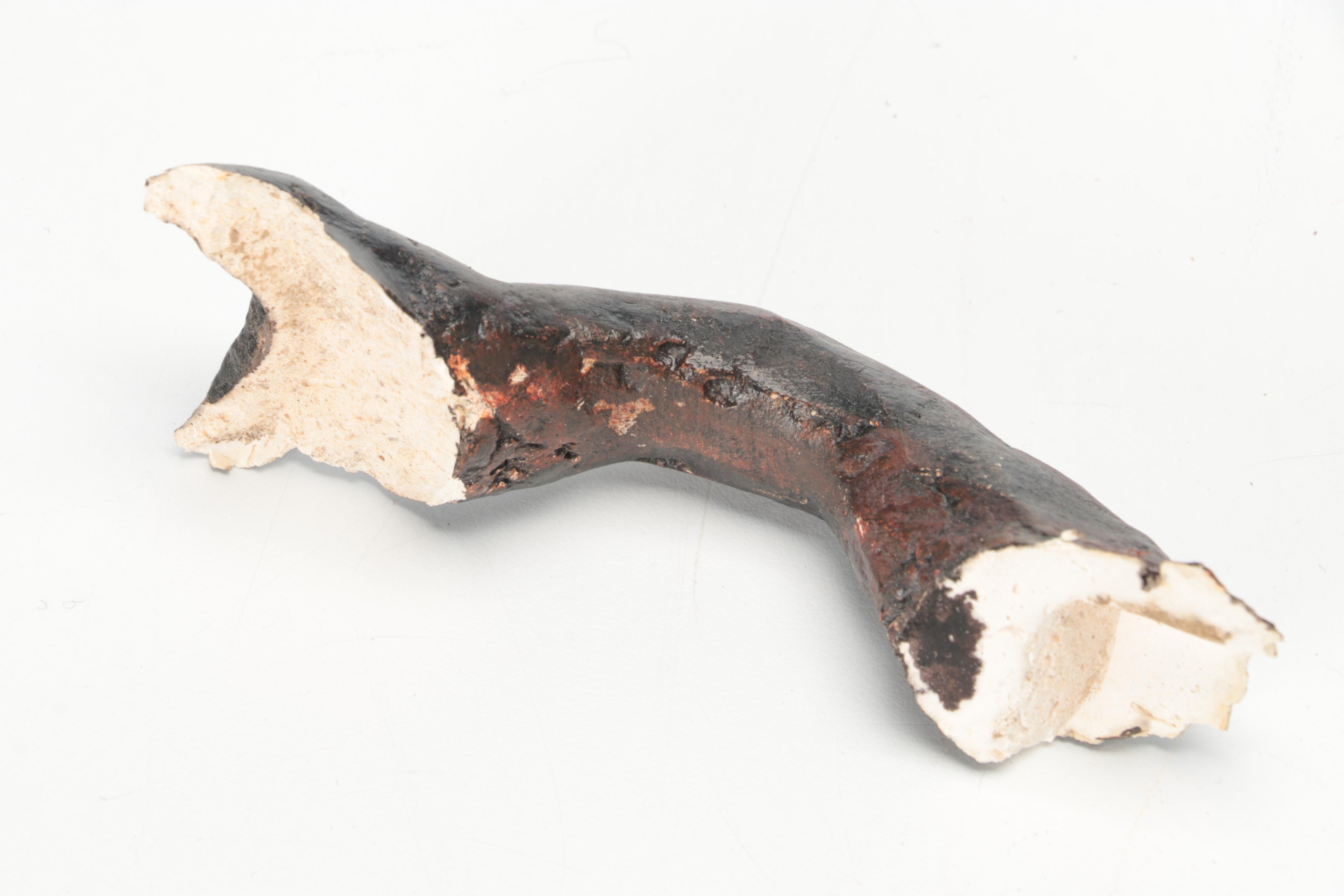 United States Brewing, Buckeye Pottery with Other Stoneware Jugs and Crocks